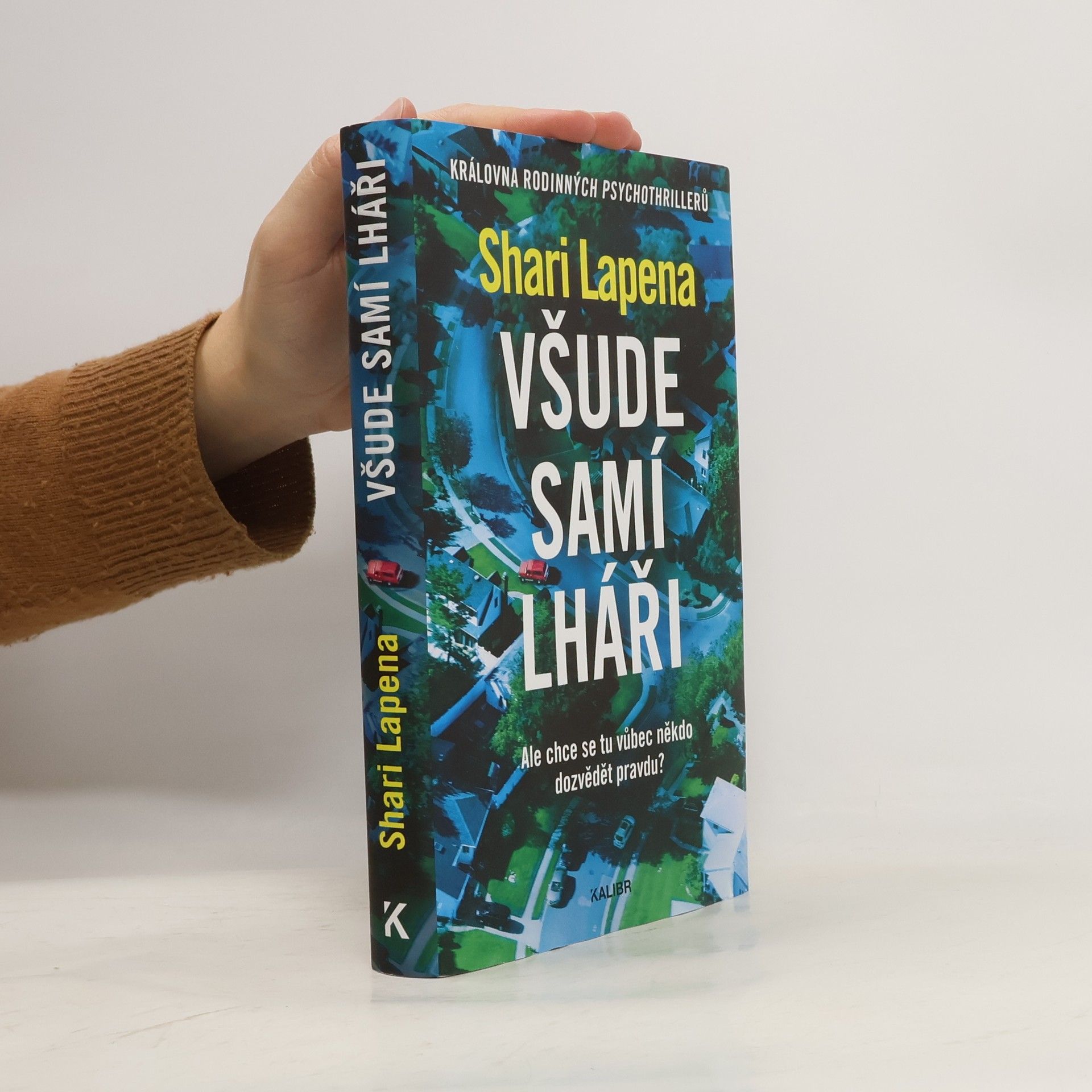 Shari Lapena Všude samí lháři