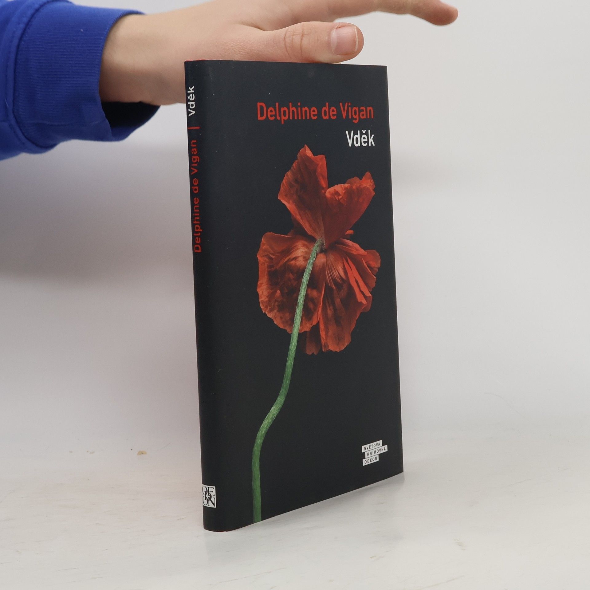 Delphine de Vigan Vděk