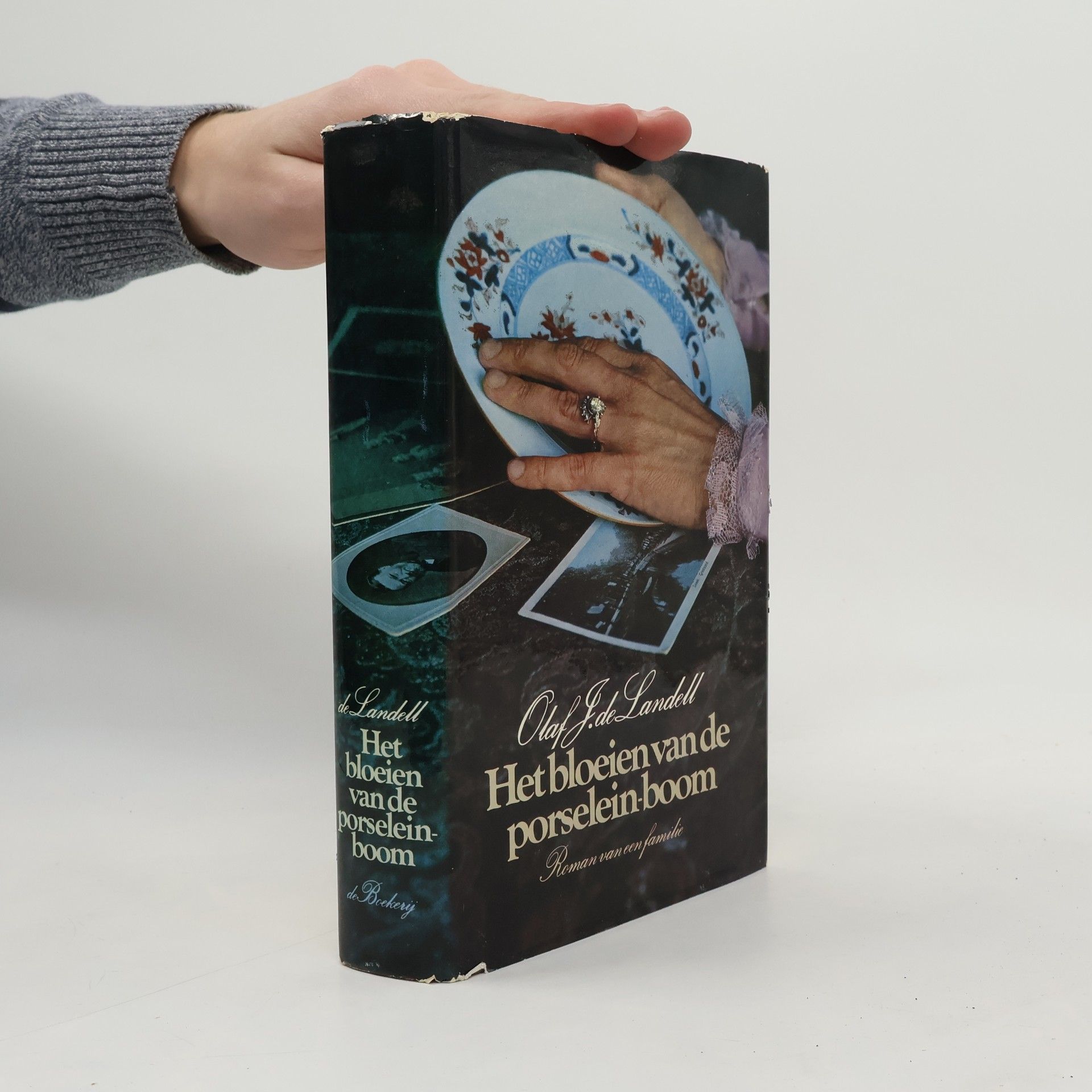 Het bloeien van de porselein-boom