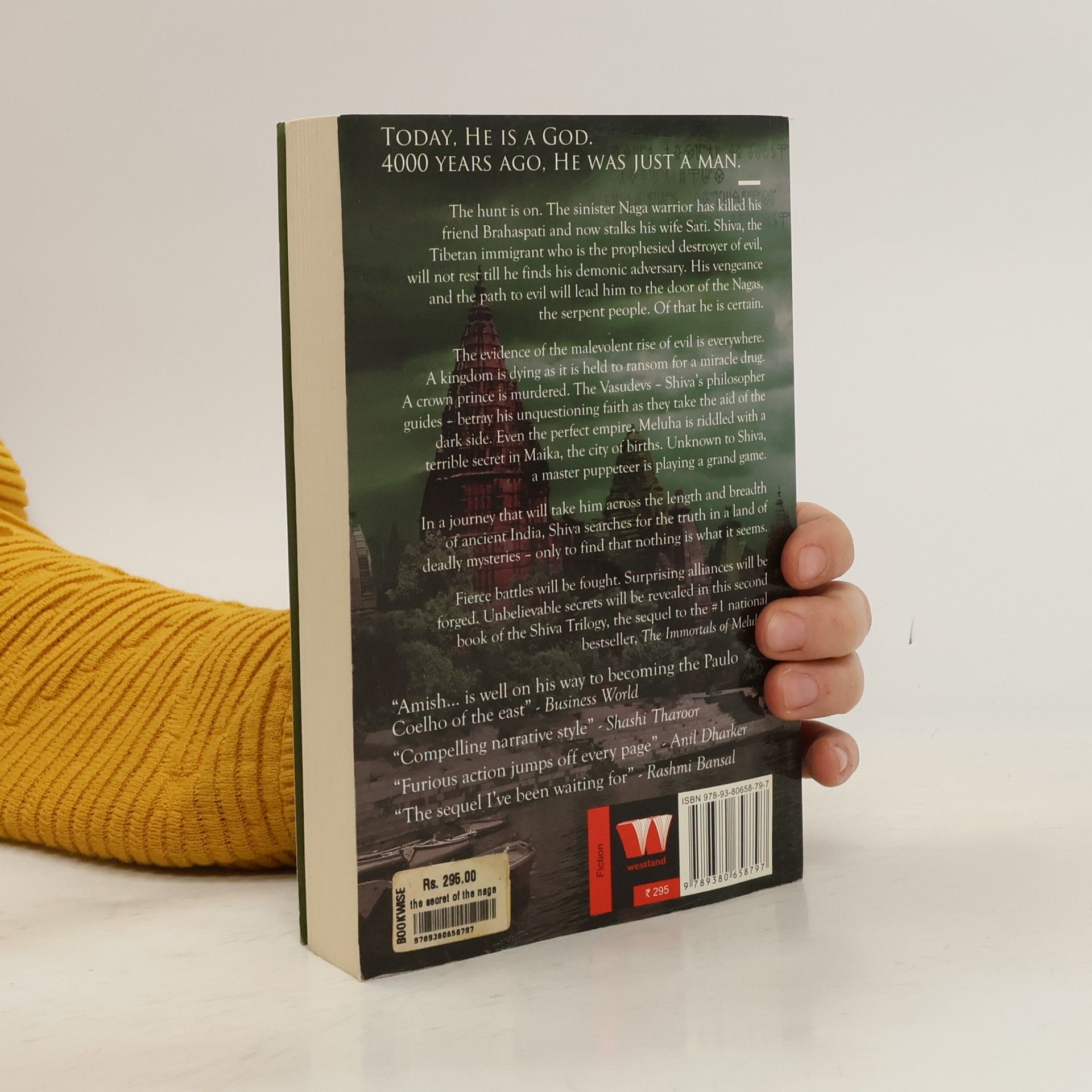 Amish Tripathi The Secret of the Nagas