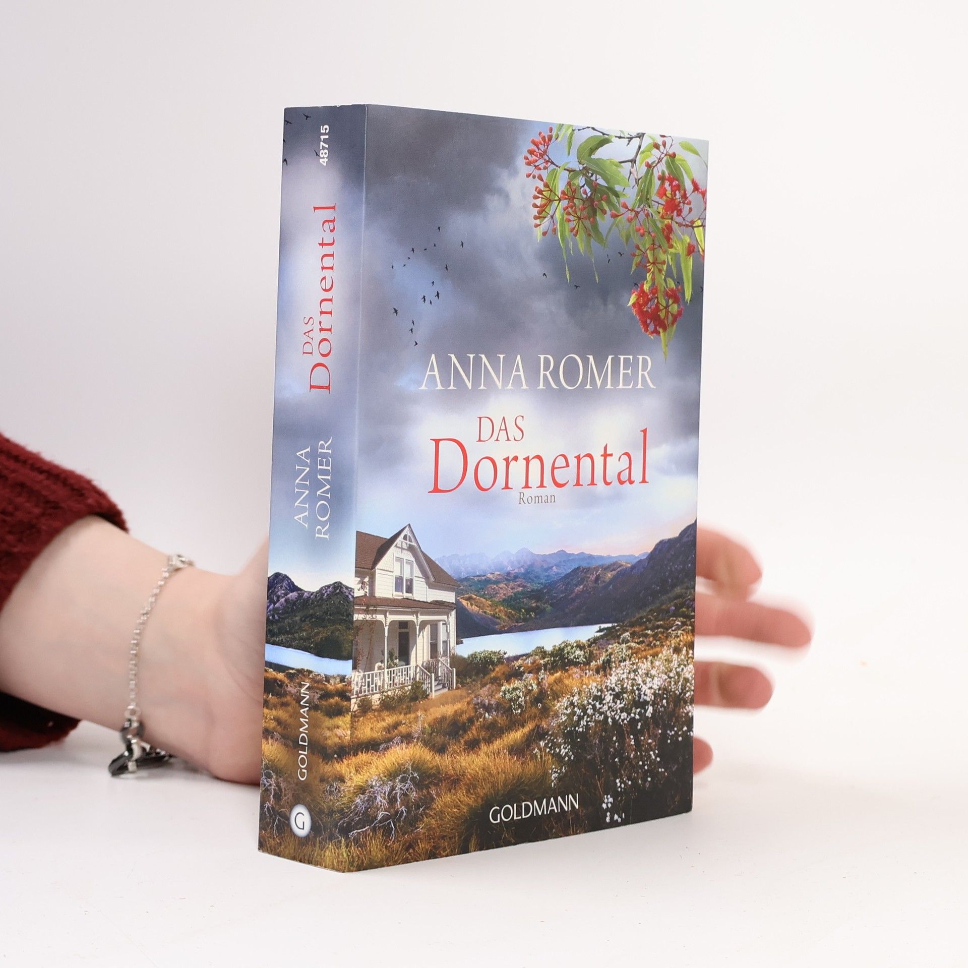 Roberto de Hollanda Das Dornental : roman