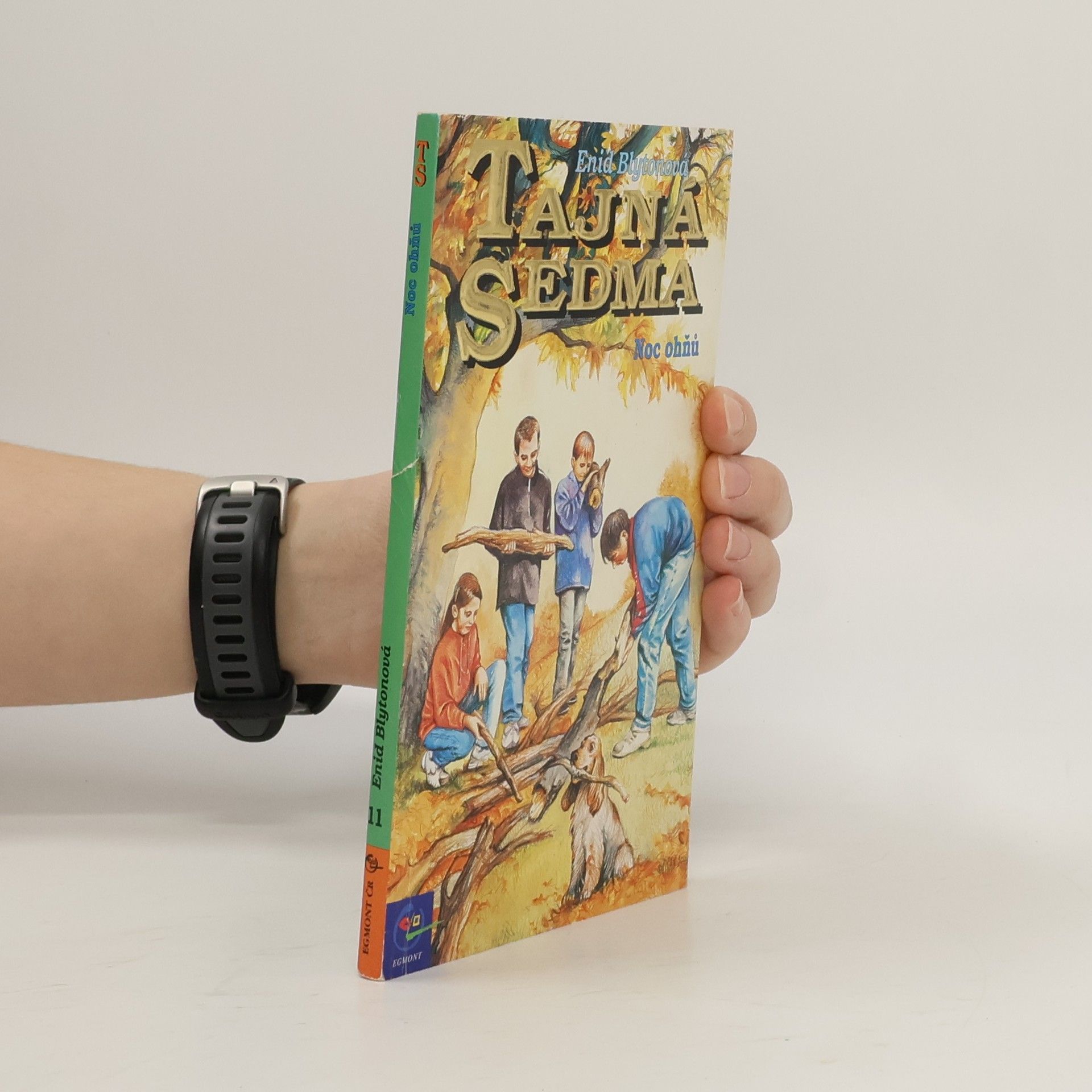 Enid Blyton Noc ohňů