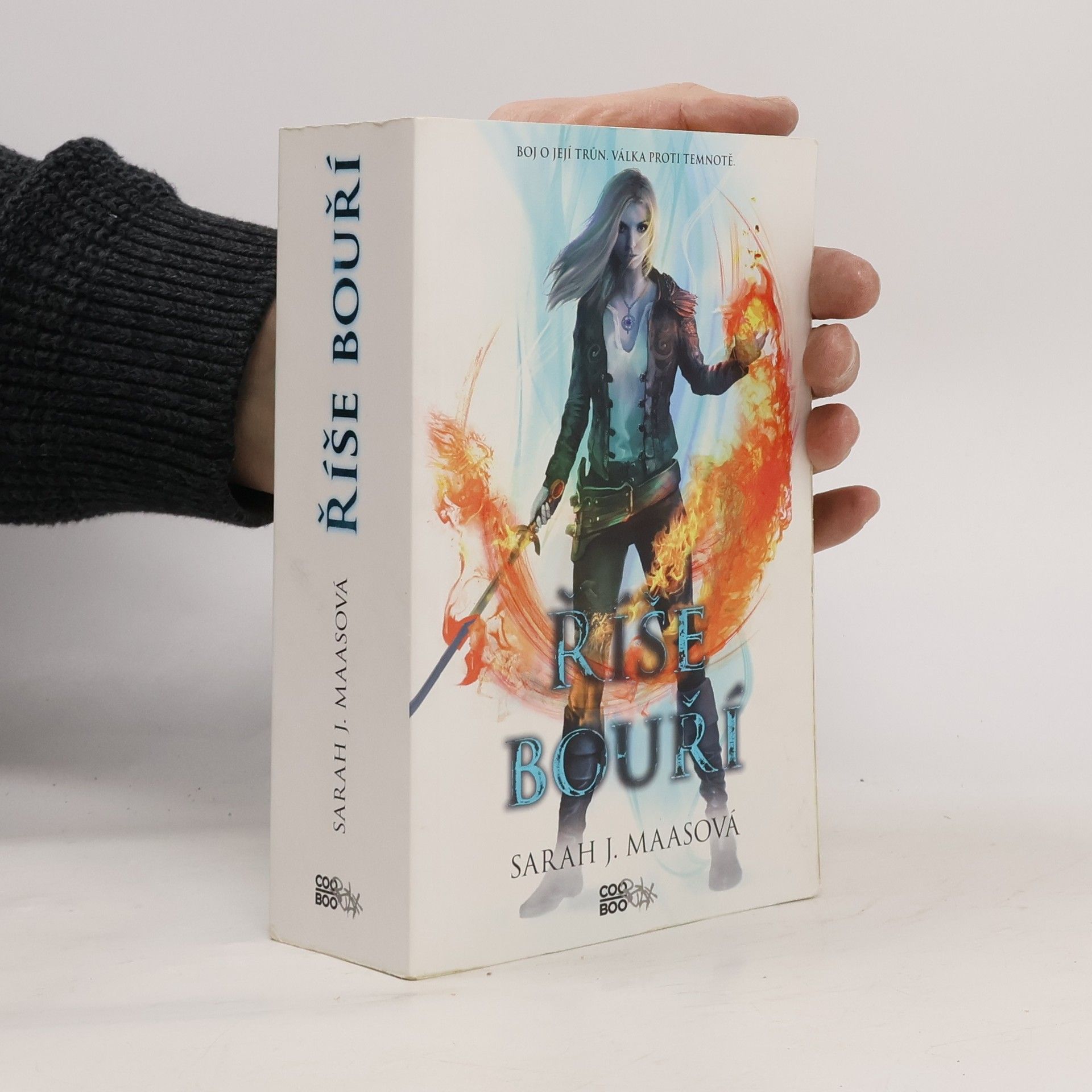 Sarah J. Maas Říše bouří