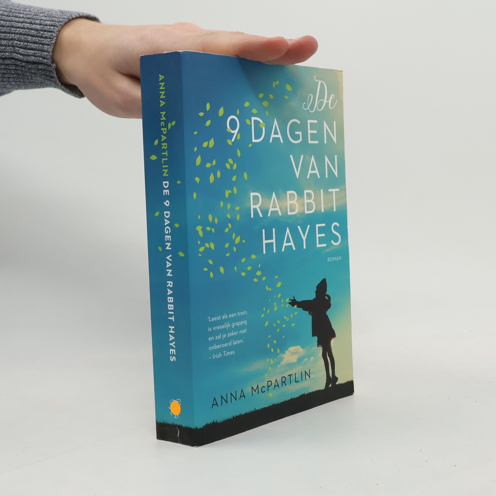 Anna McPartlin De 9 dagen van Rabbit Hayes