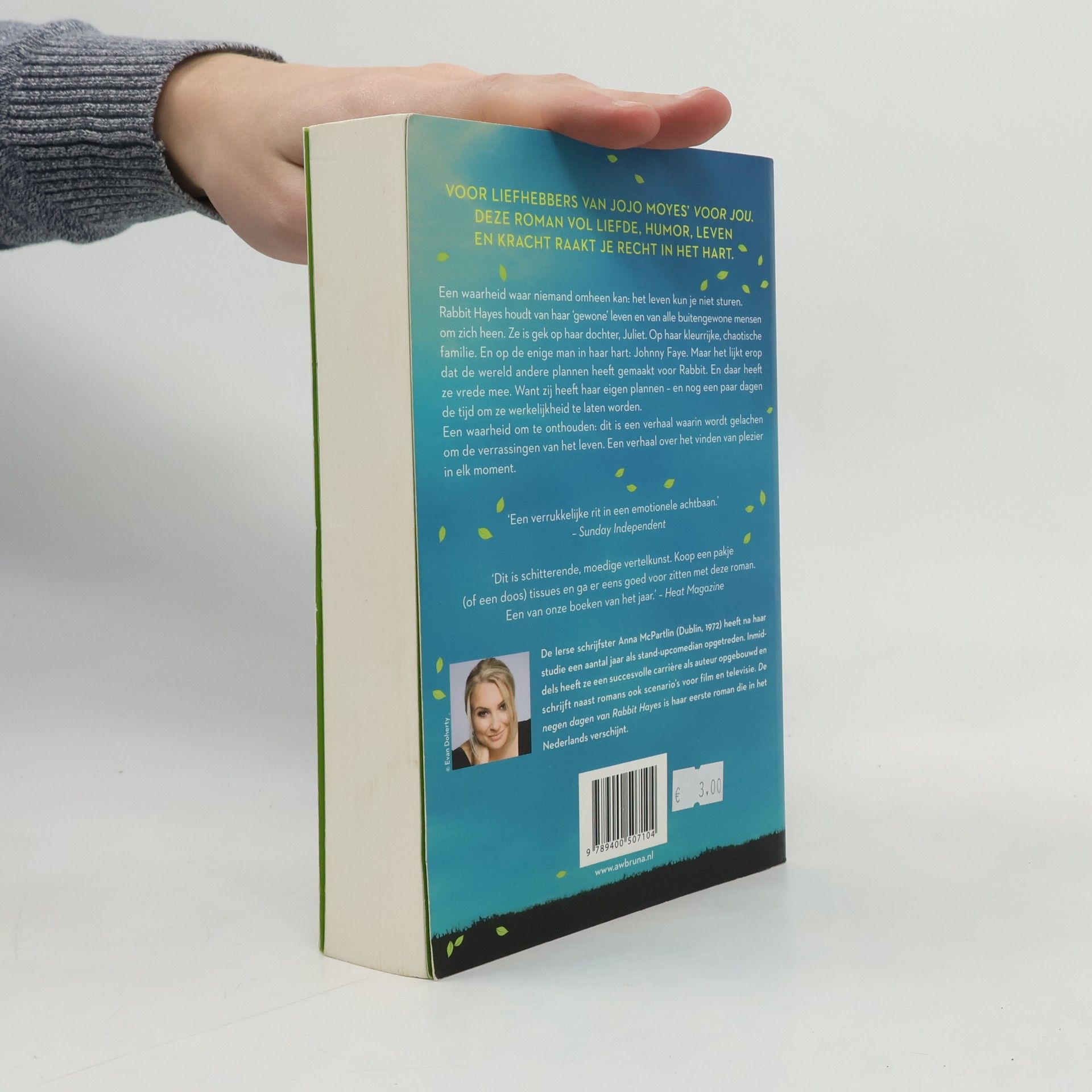 Anna McPartlin De 9 dagen van Rabbit Hayes
