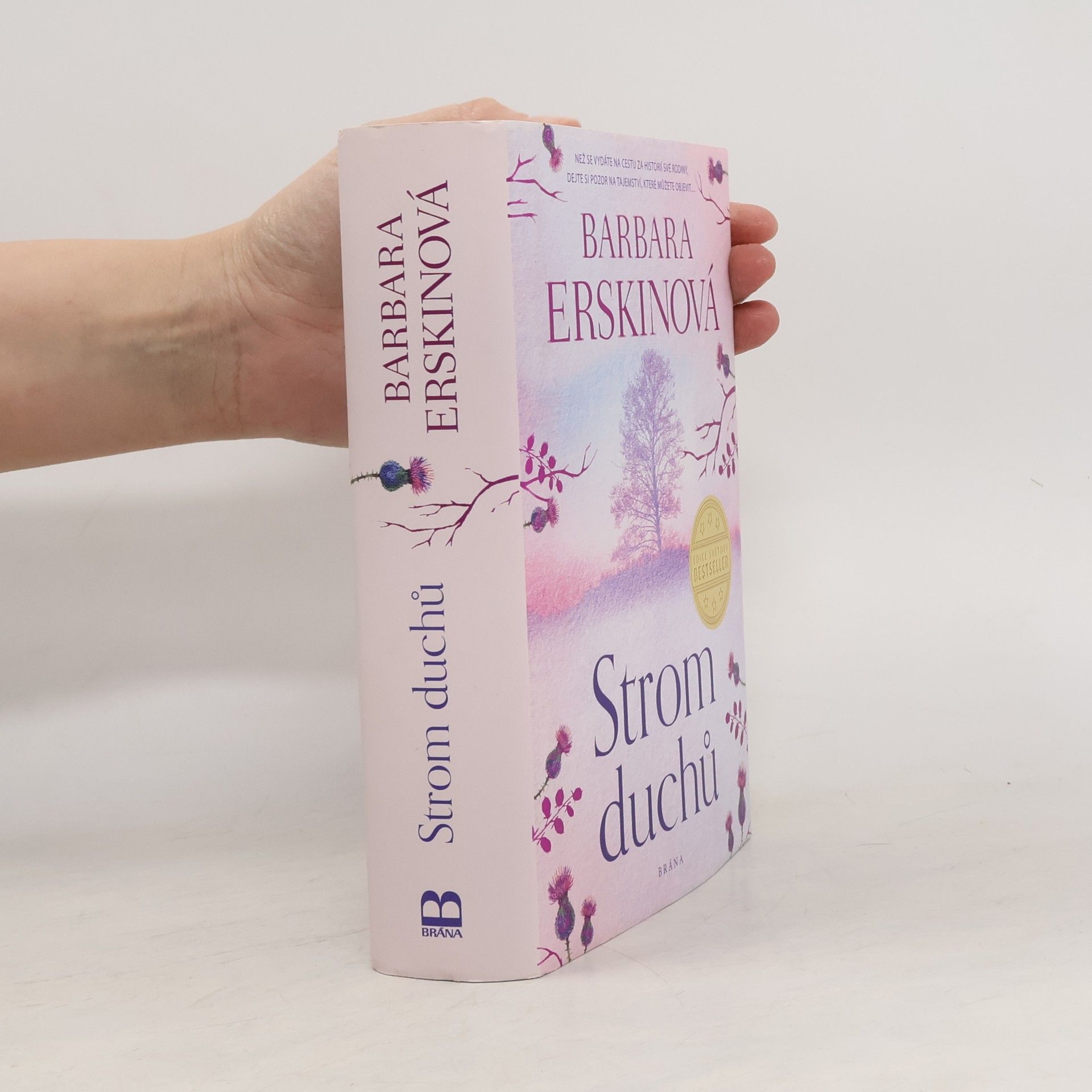 Barbara Erskine Strom duchů