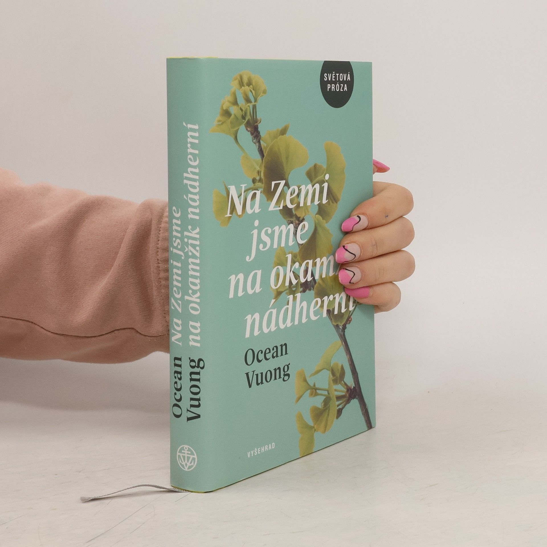 Na Zemi jsme na okamžik nádherní