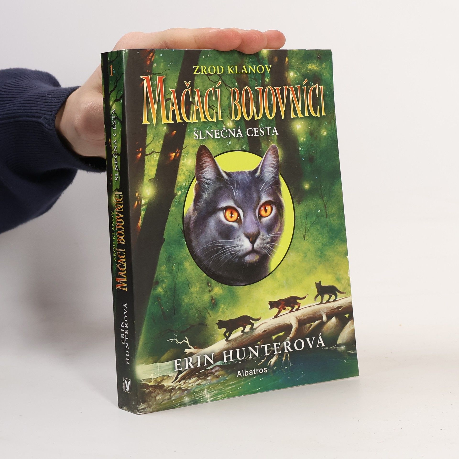 Erin Hunter Slnečná cesta