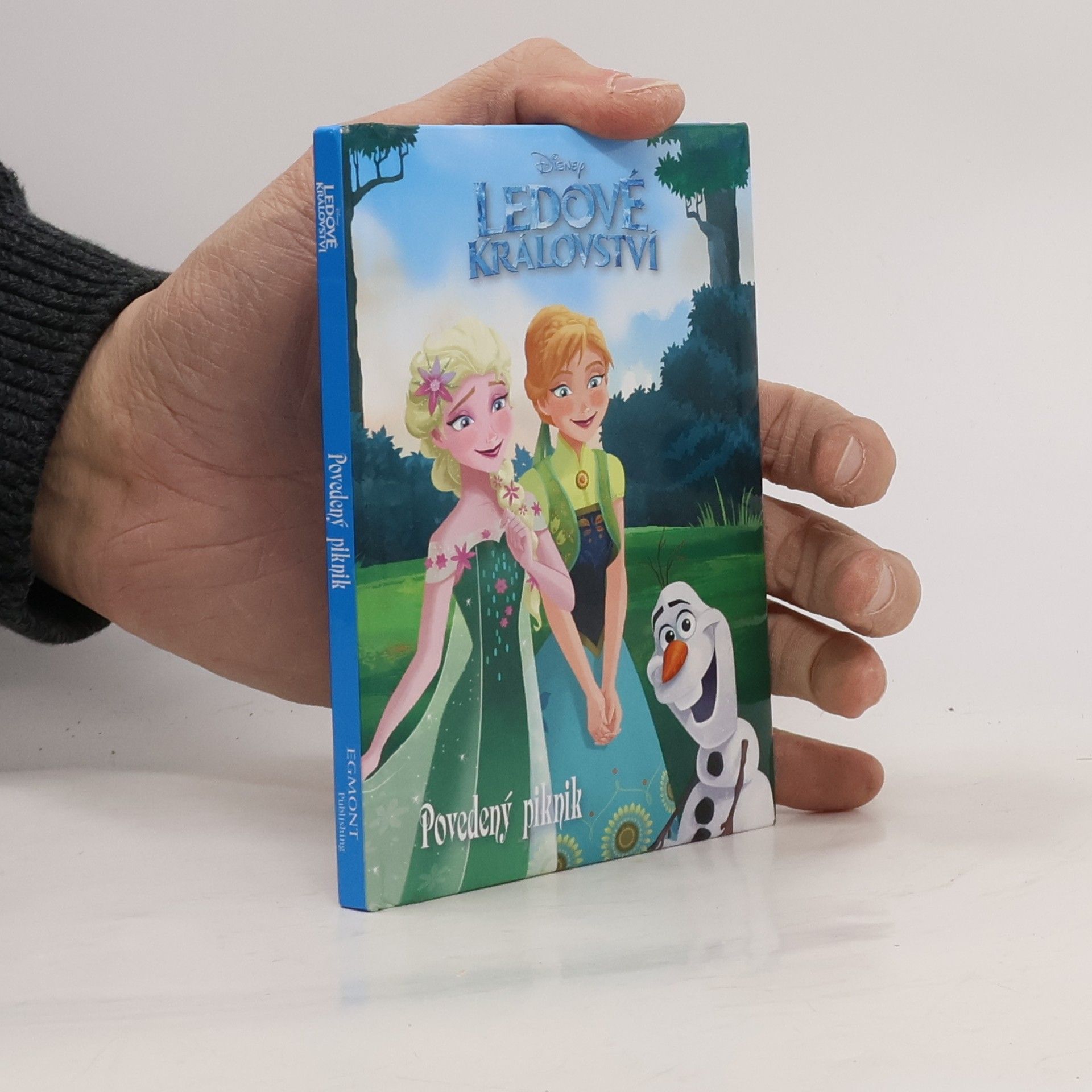 Suzanne Francis Ledové království: povedený piknik