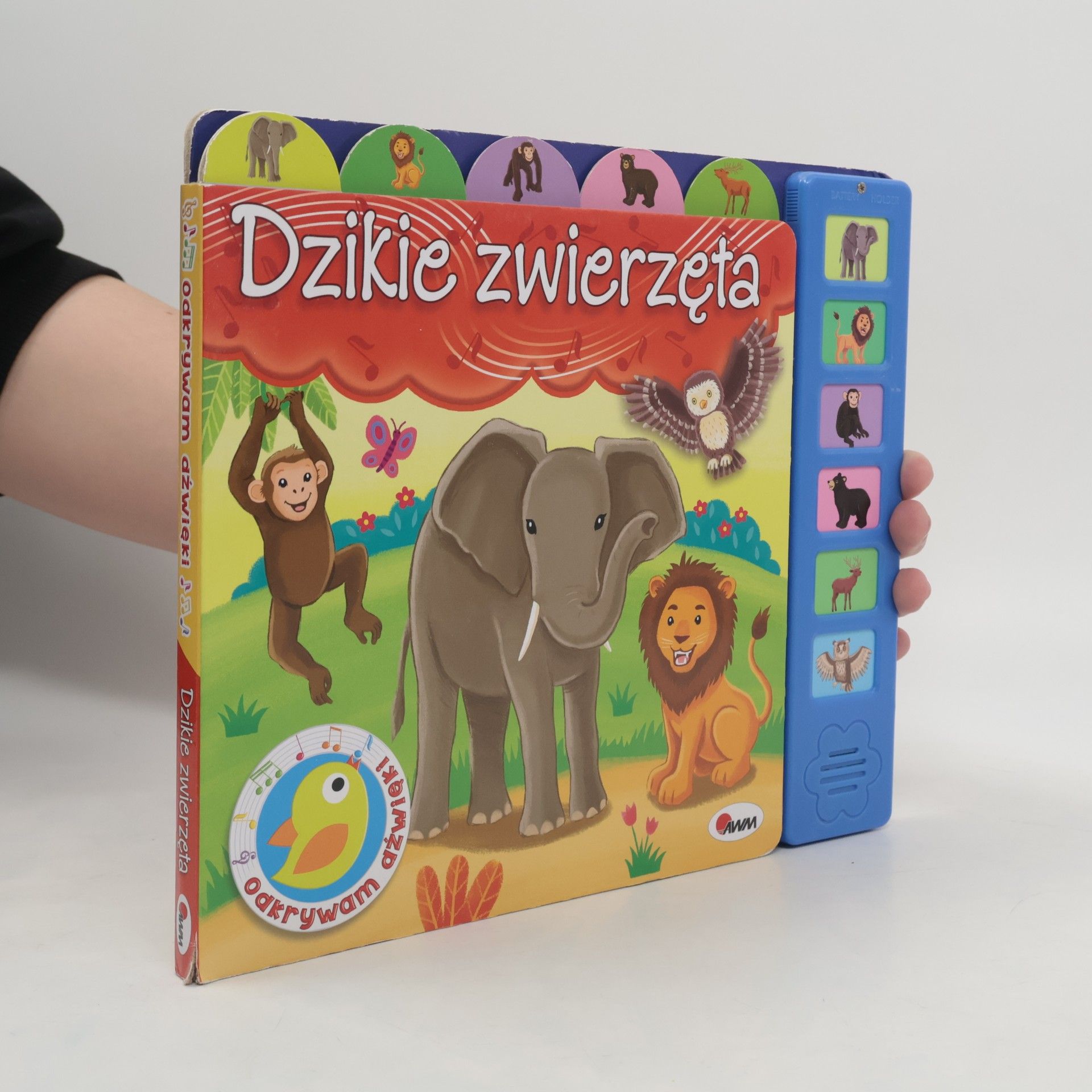 Mirosława Kwiecińska Dzikie zwierzęta