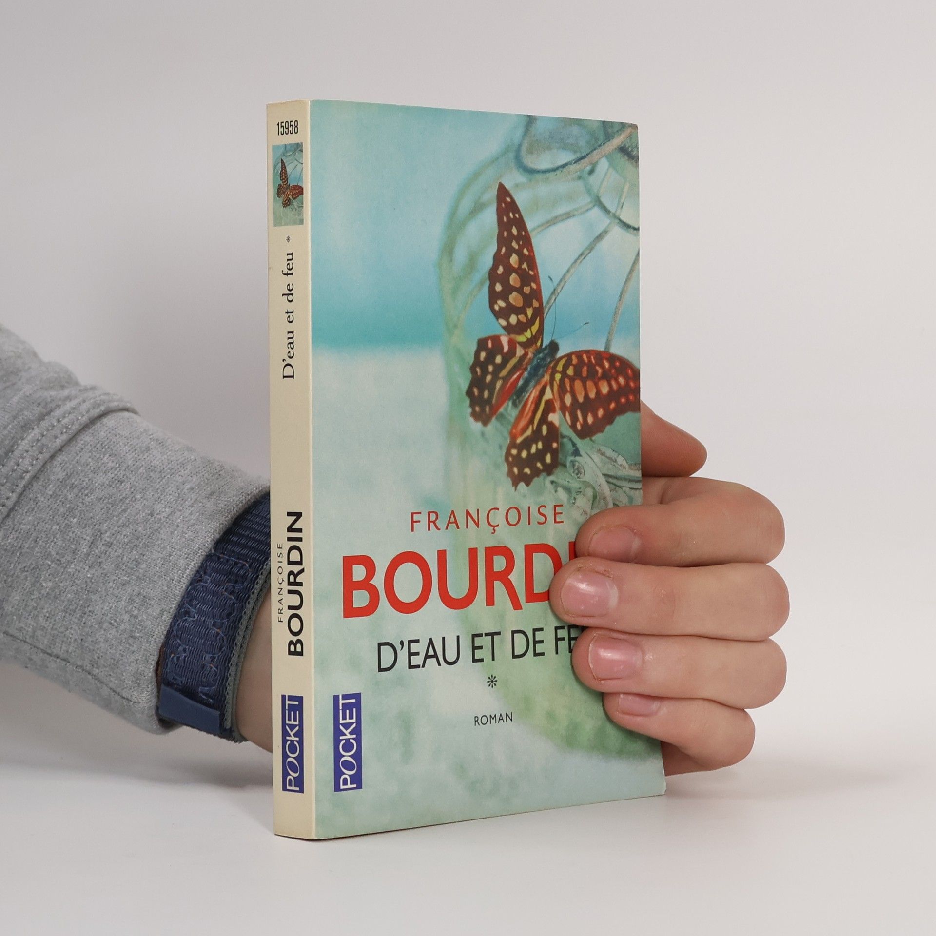 Françoise Bourdin D'eau et de feu