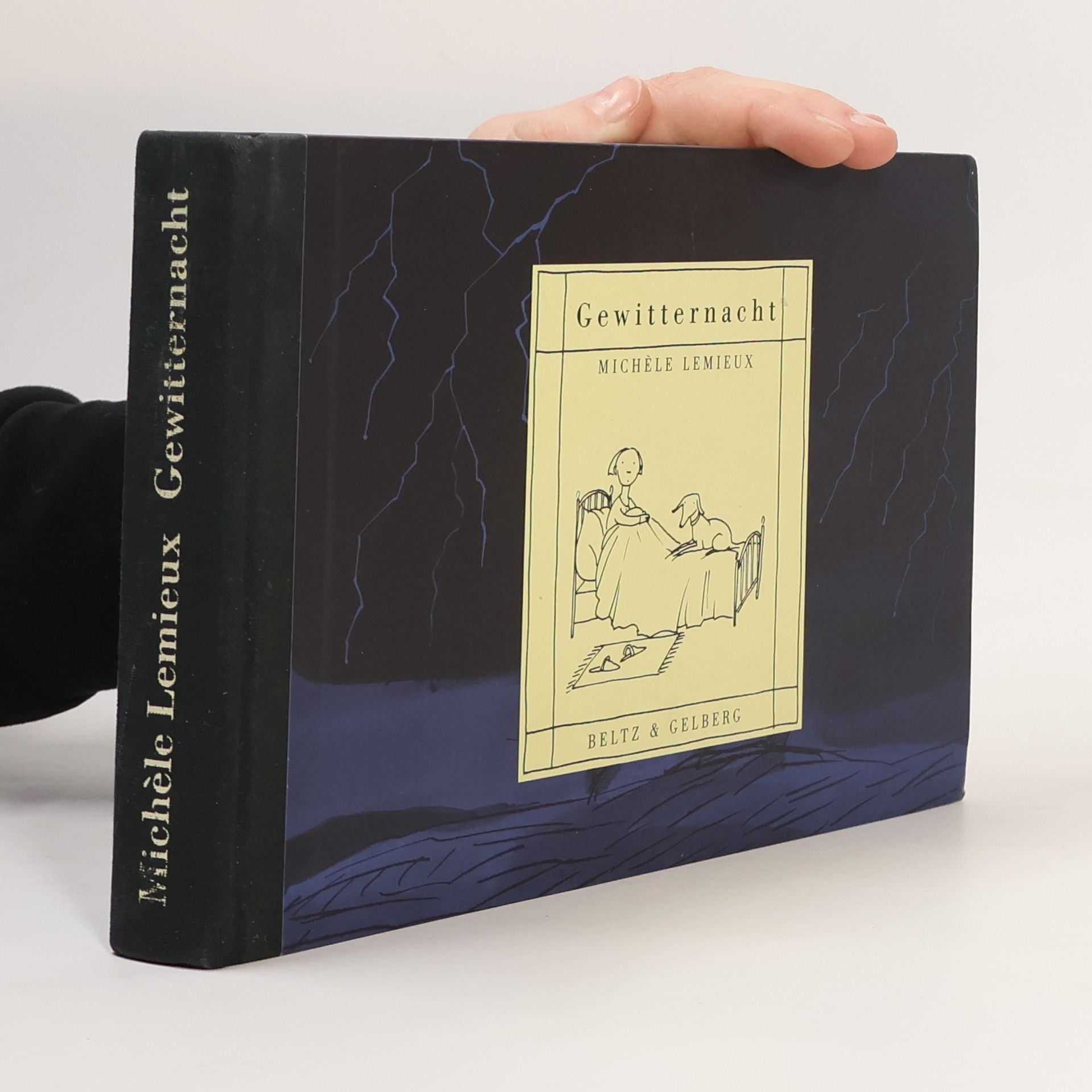 Michèle Lemieux Gewitternacht