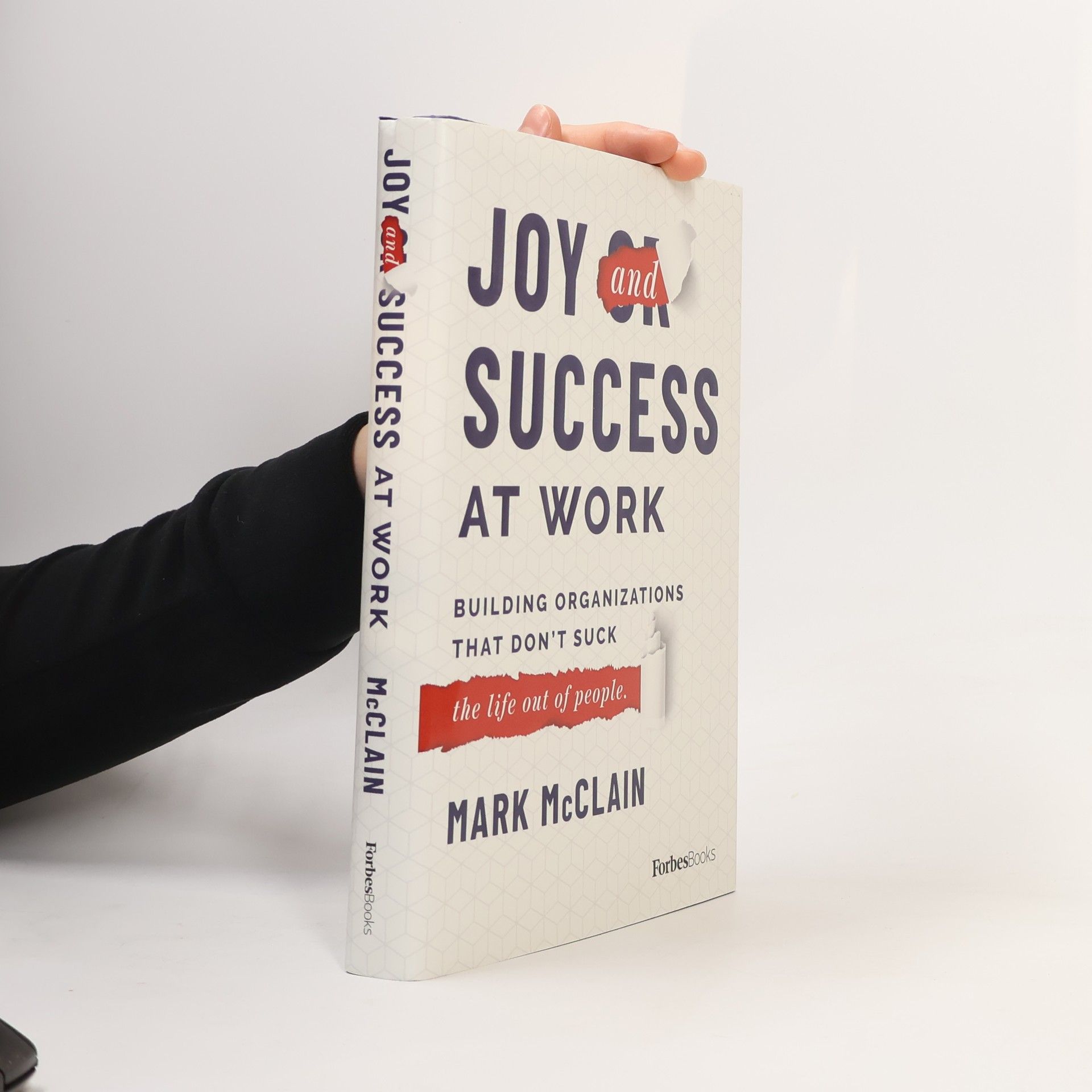 Mark McClain Joy and Success At Work