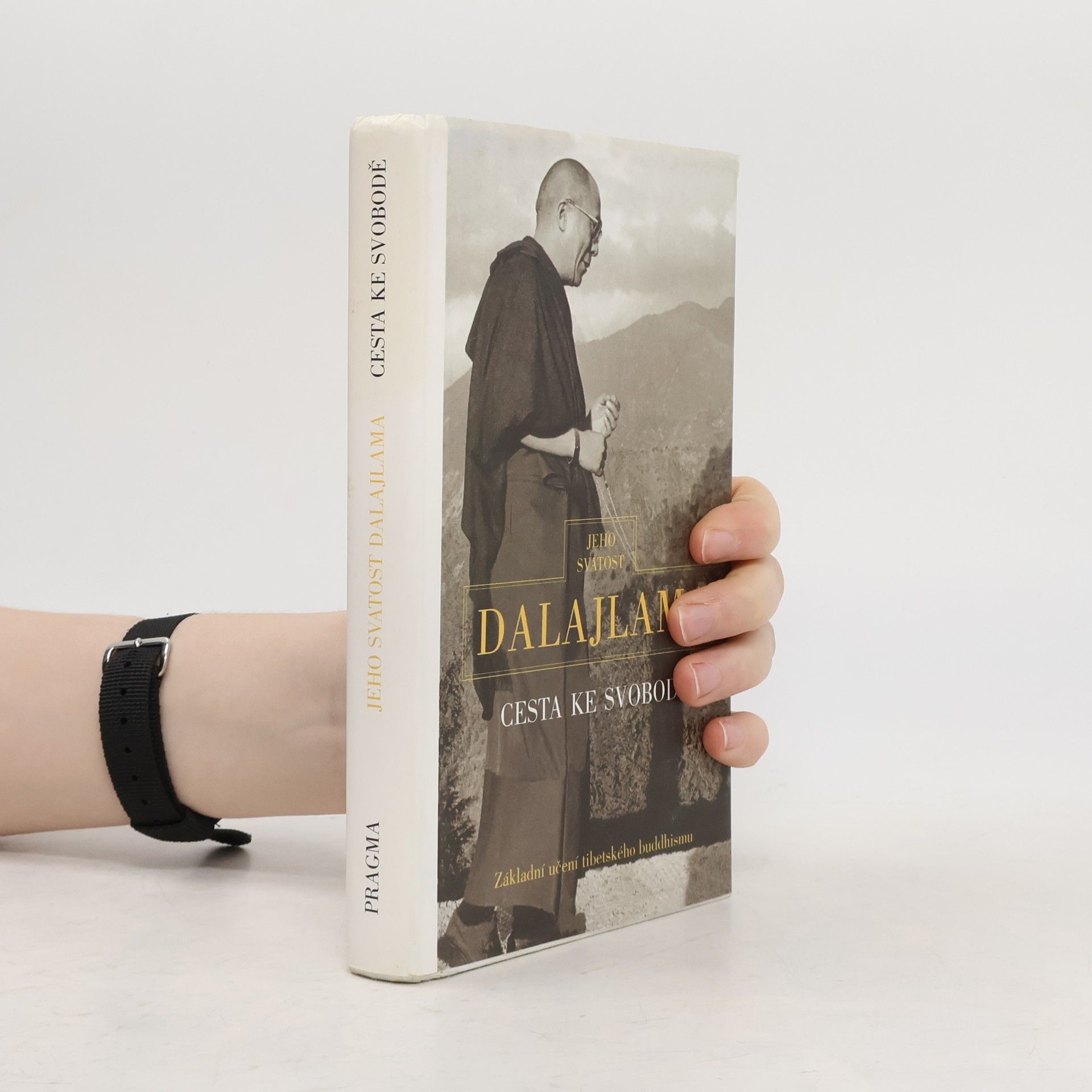 Irena Janovcová Cesta ke svobodě