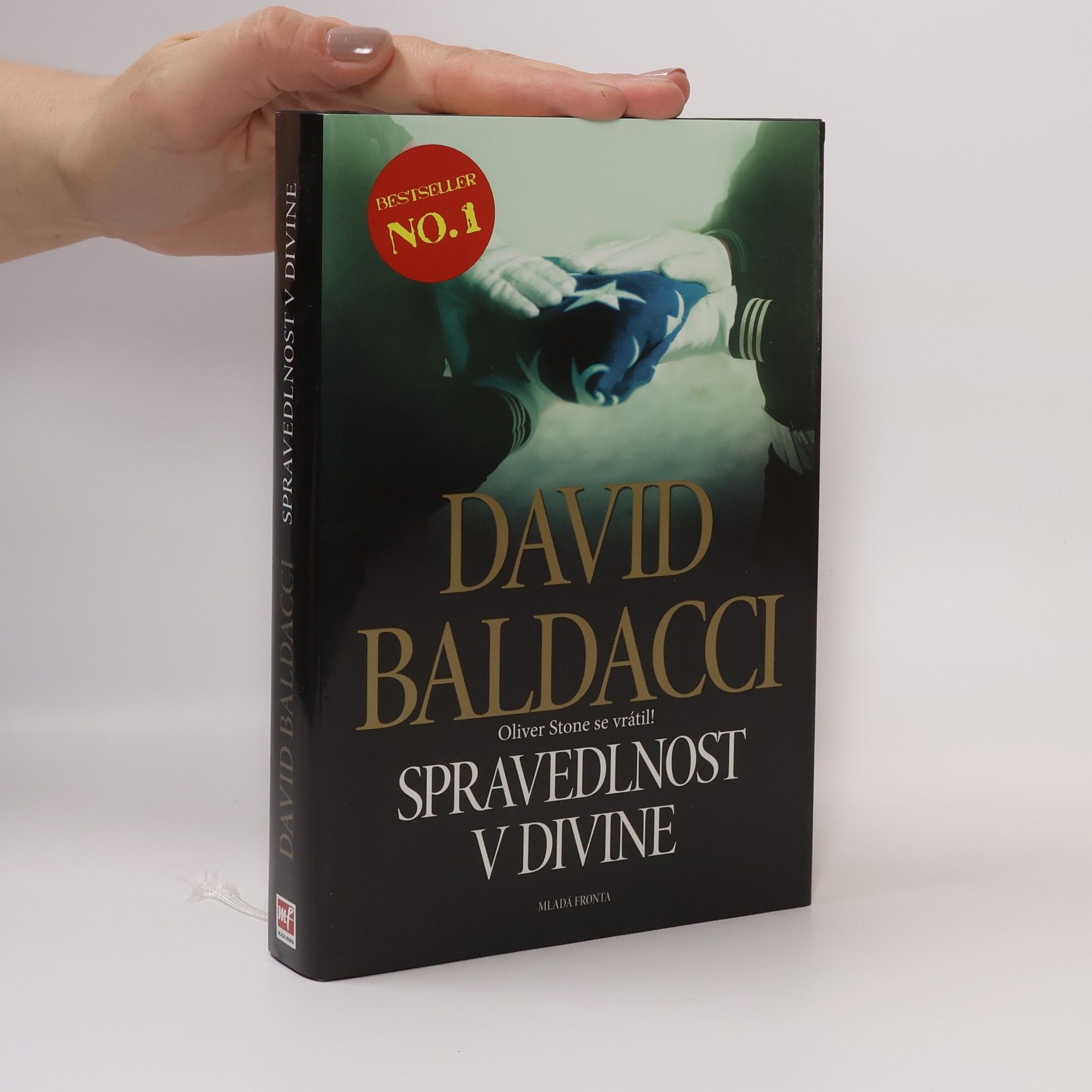 David Baldacci Spravedlnost v Divine