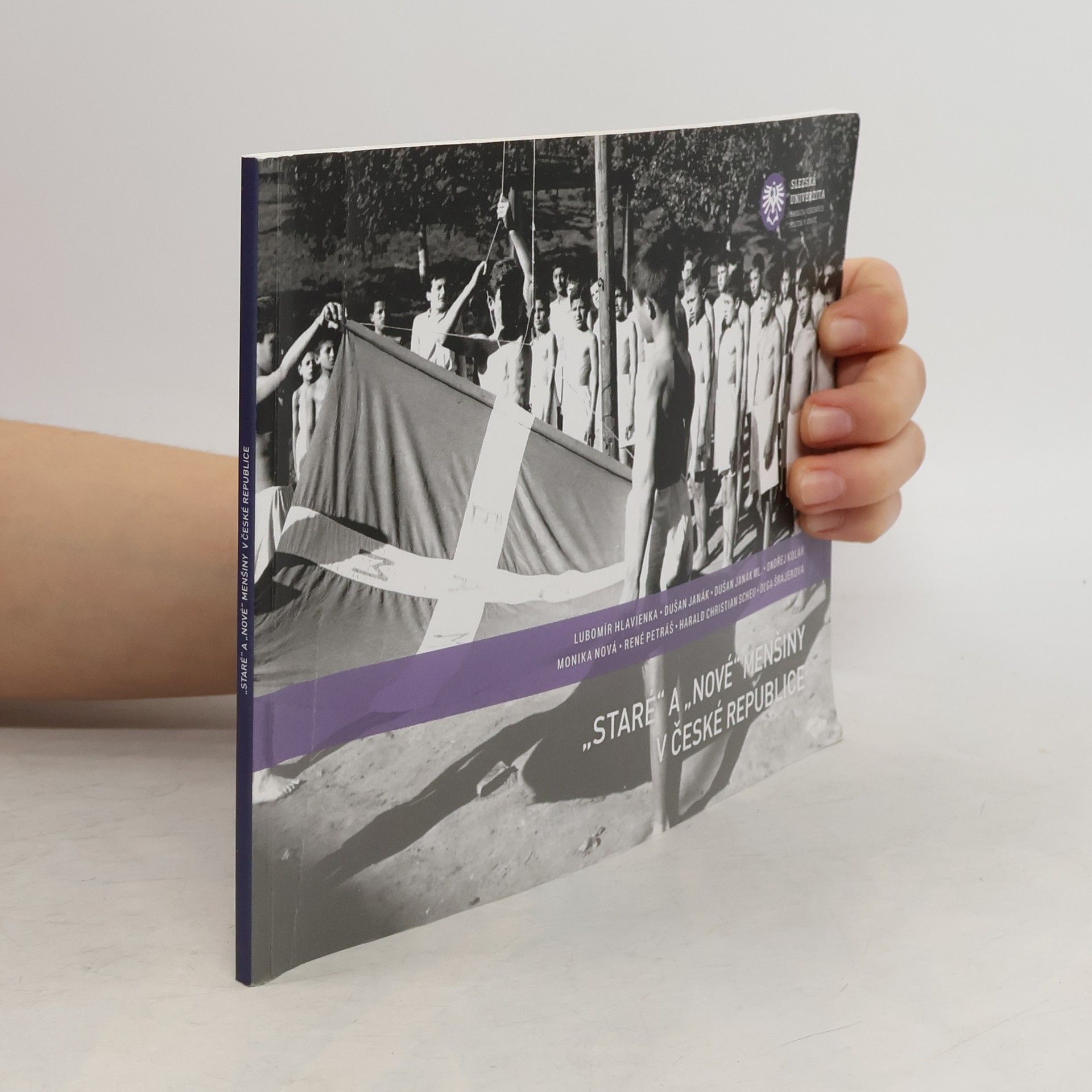 "Staré" a "nové" menšiny v České republice