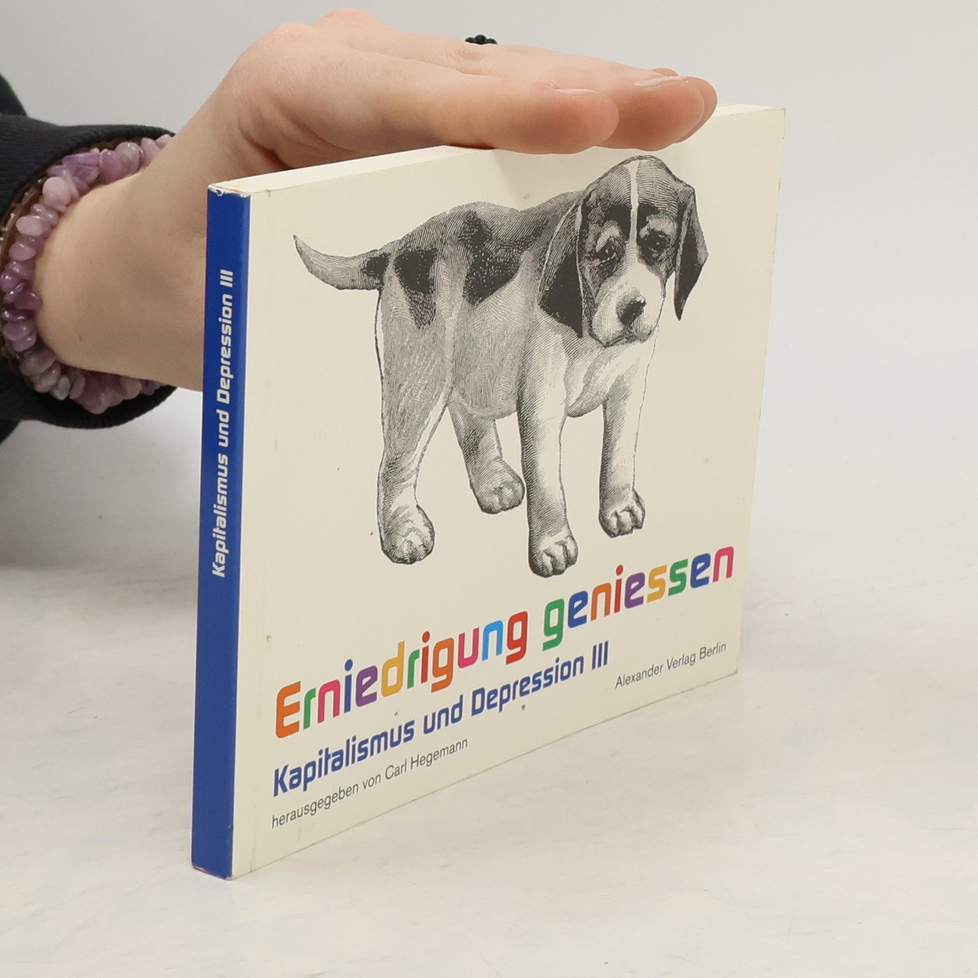 Carl Hegemann Kapitalismus und Depression