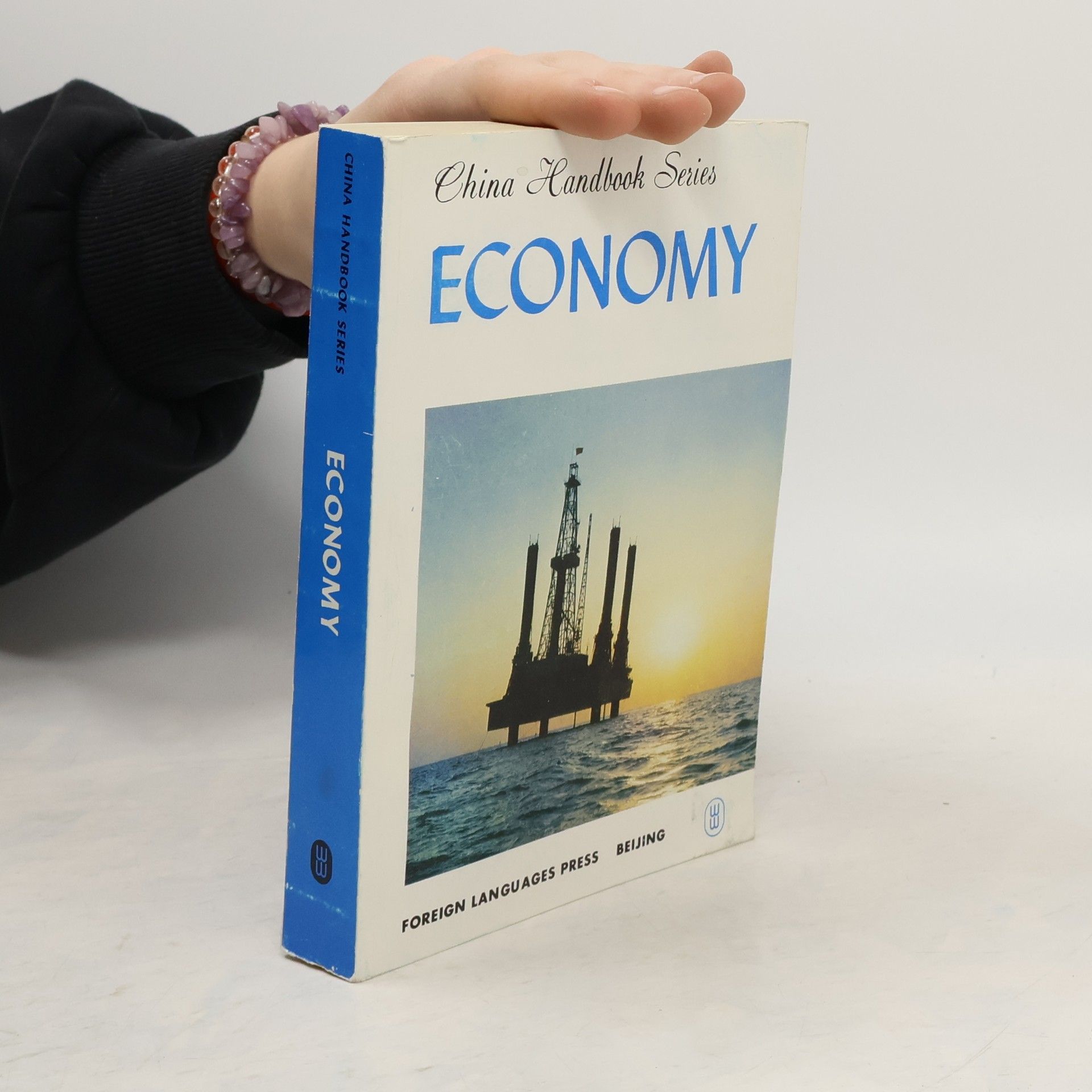 Kolektiv autorů Economy