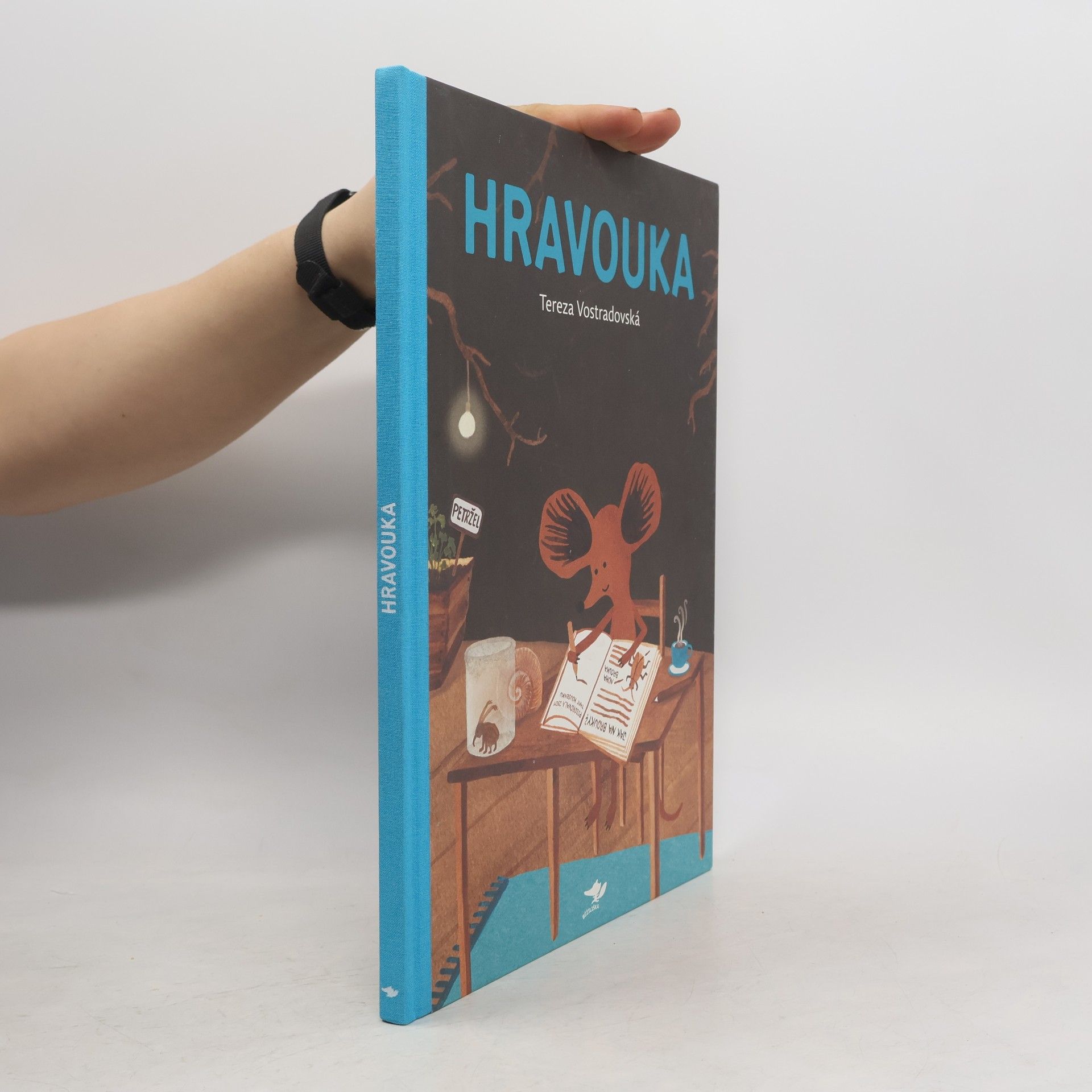 Tereza Vostradovská Hravouka