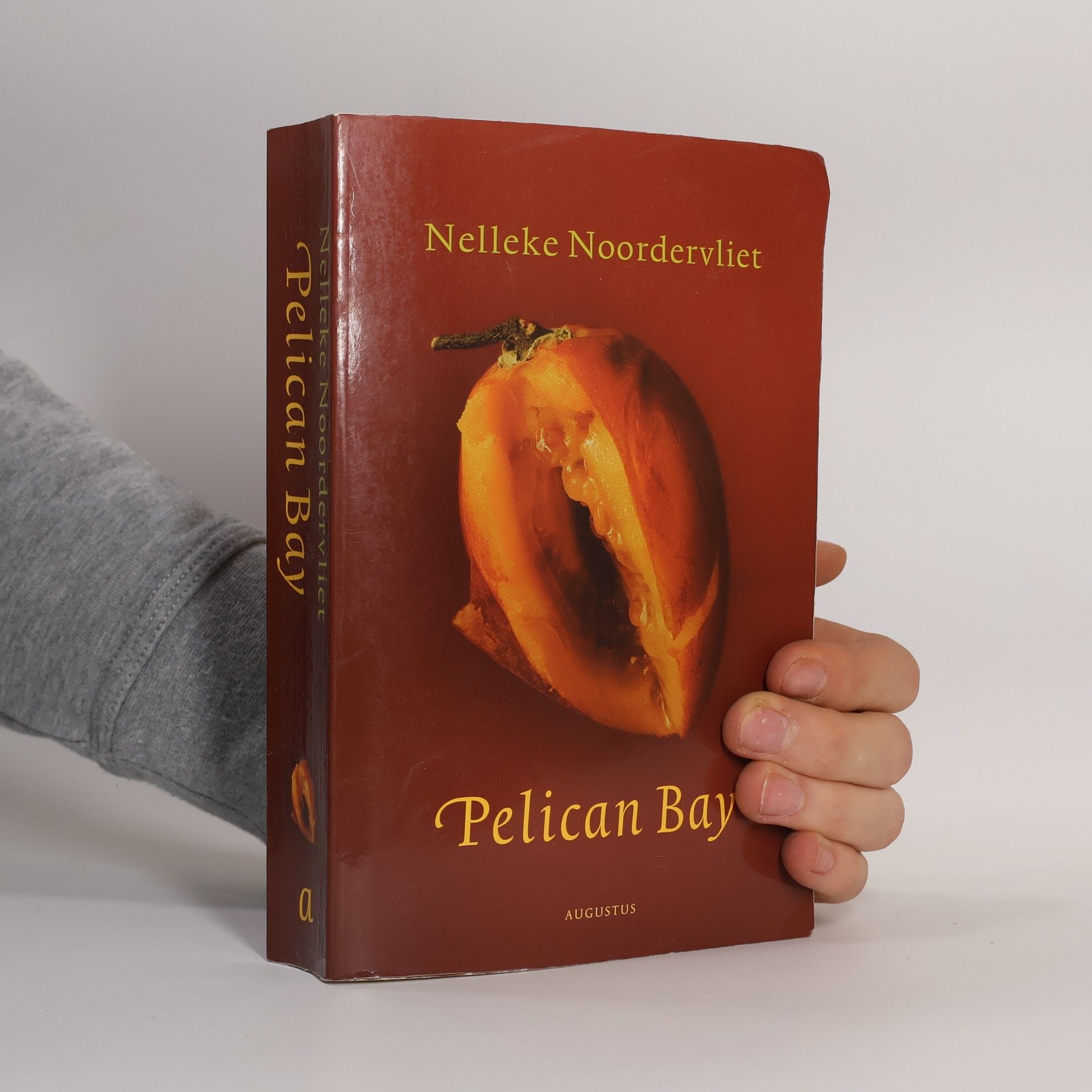 Nelleke Noordervliet Pelican Bay
