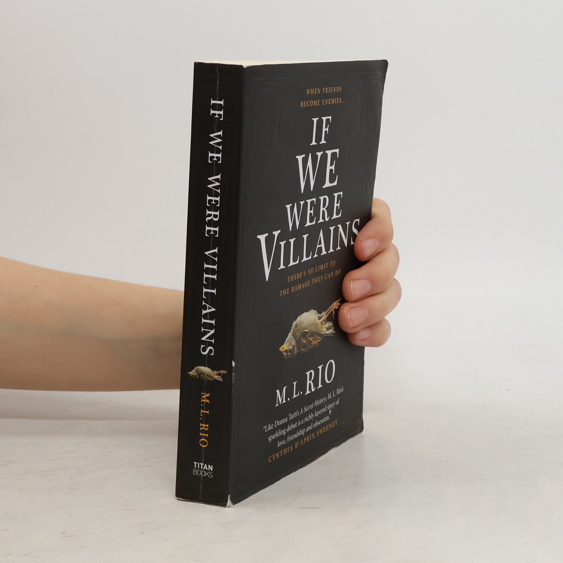 M. L. Rio If We Were Villains