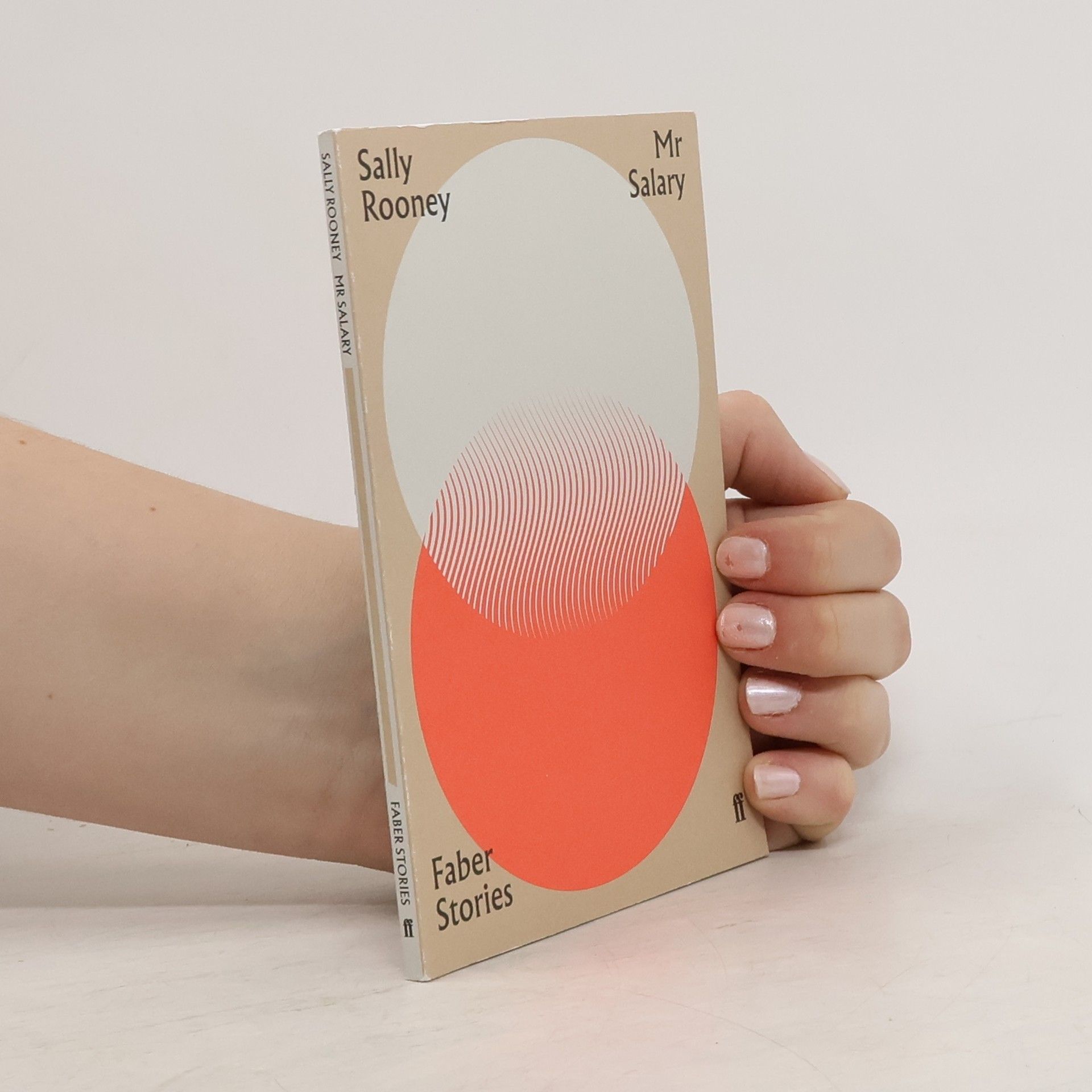 Sally Rooney Mr Salary