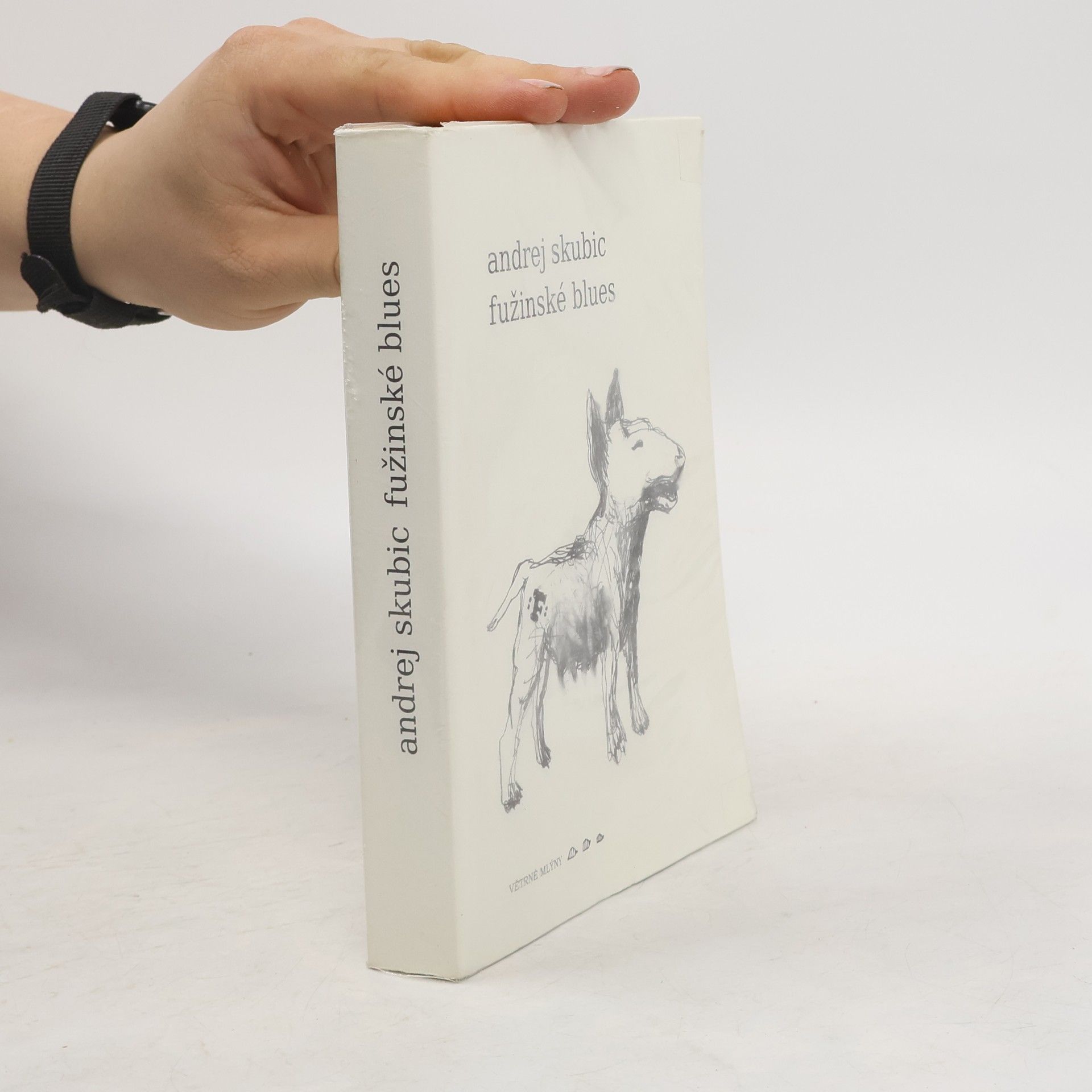 Andrej E. Skubic Fužinské blues