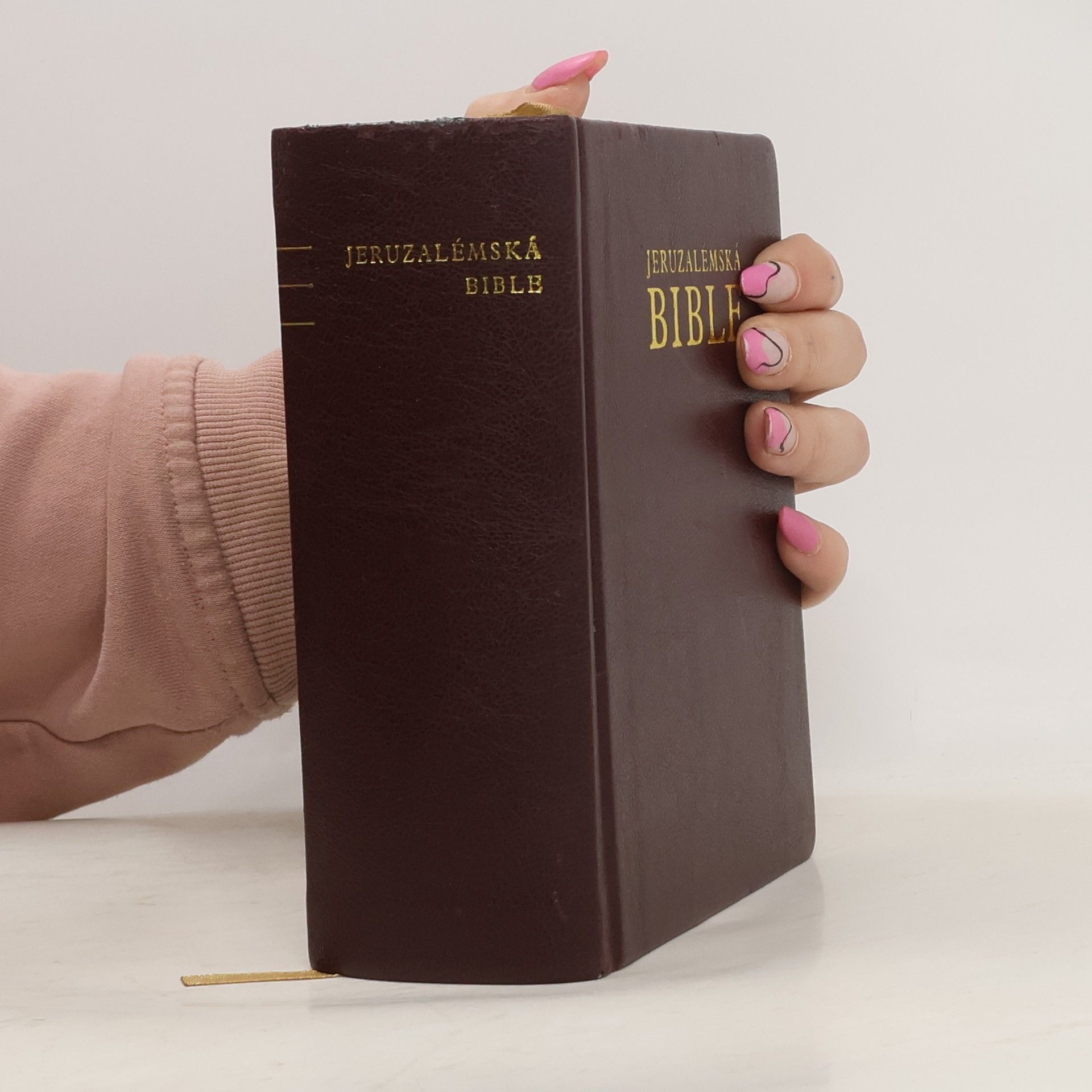 Dagmar Halasová Jeruzalémská Bible