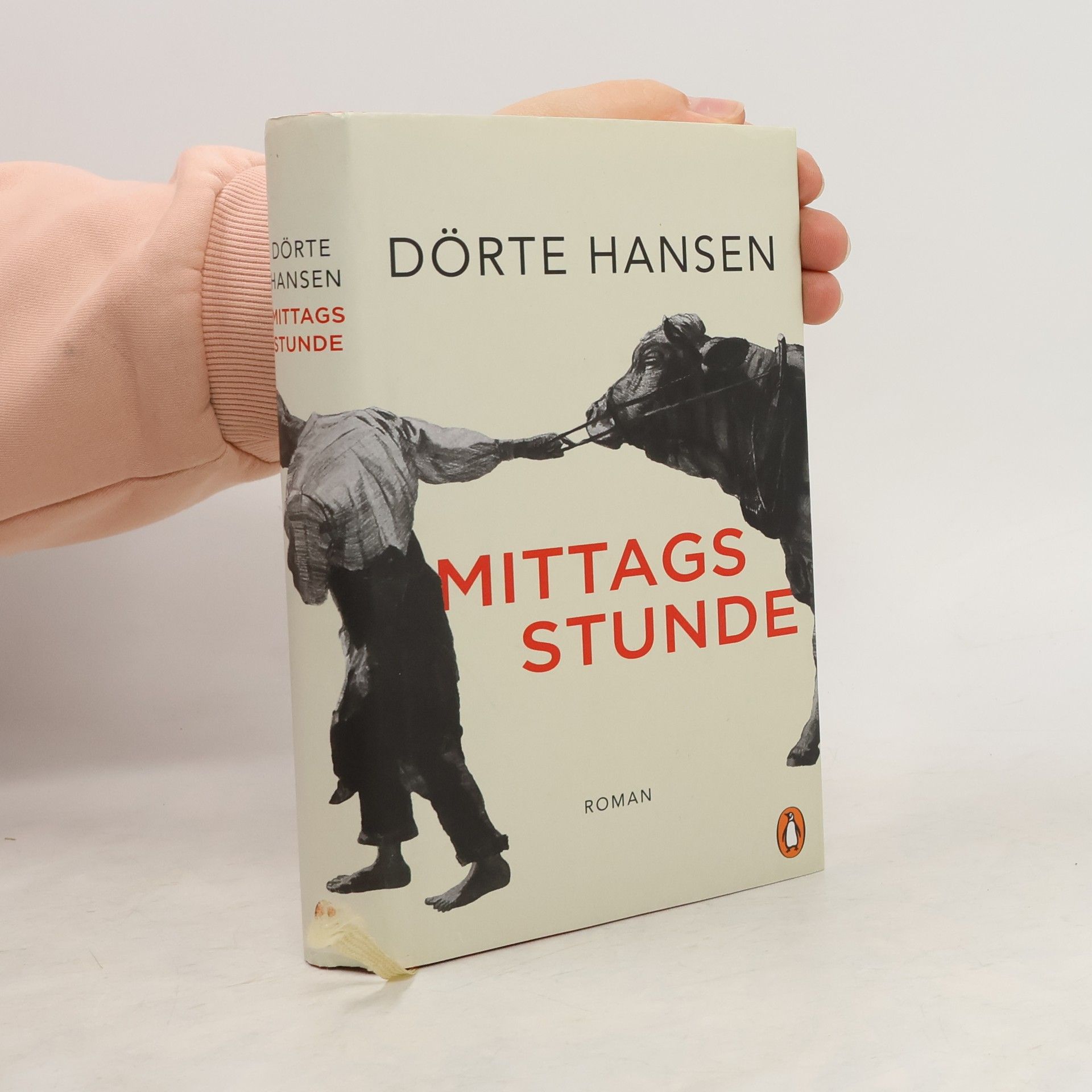 Dörte Hansen Mittagsstunde