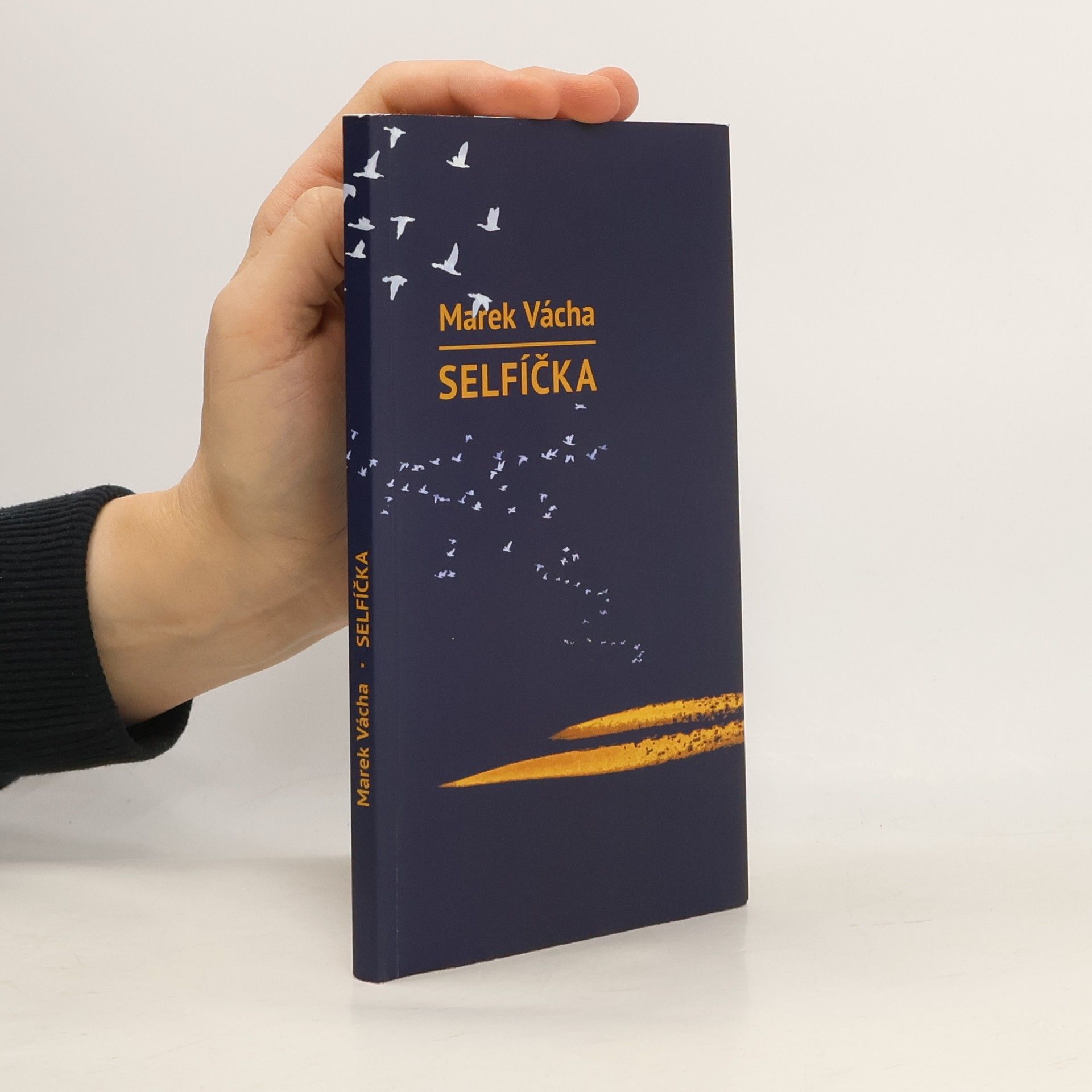 Marek Vácha Selfíčka