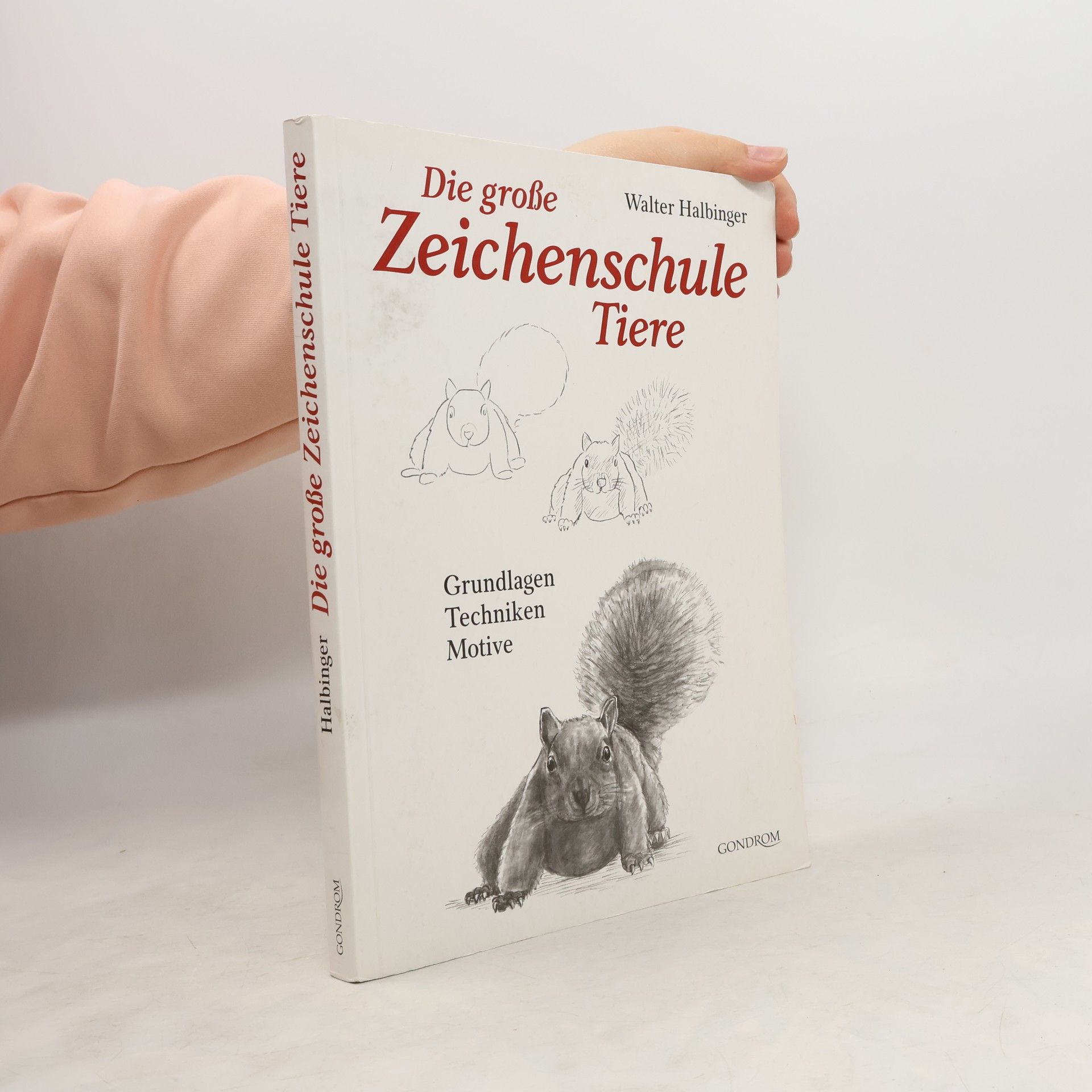 Walter Halbinger Die große Zeichenschule