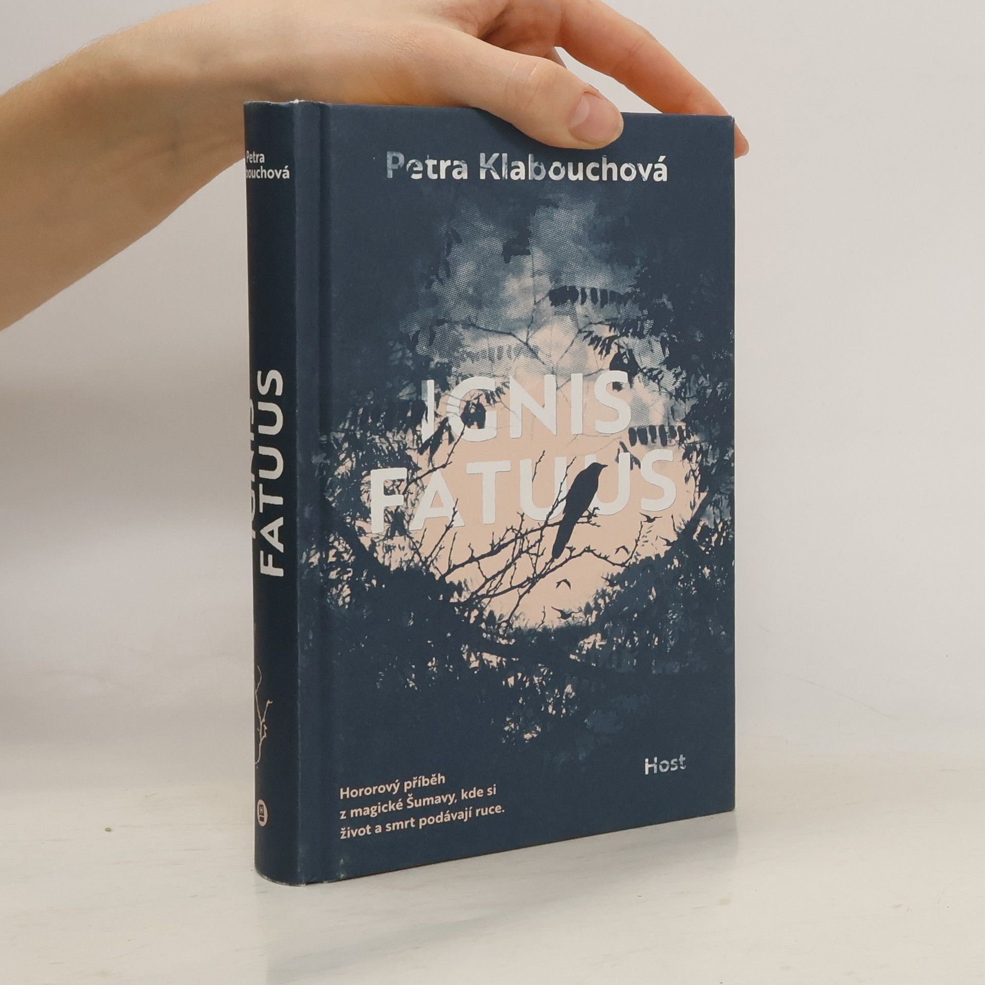 Petra Klabouchová Ignis Fatuus