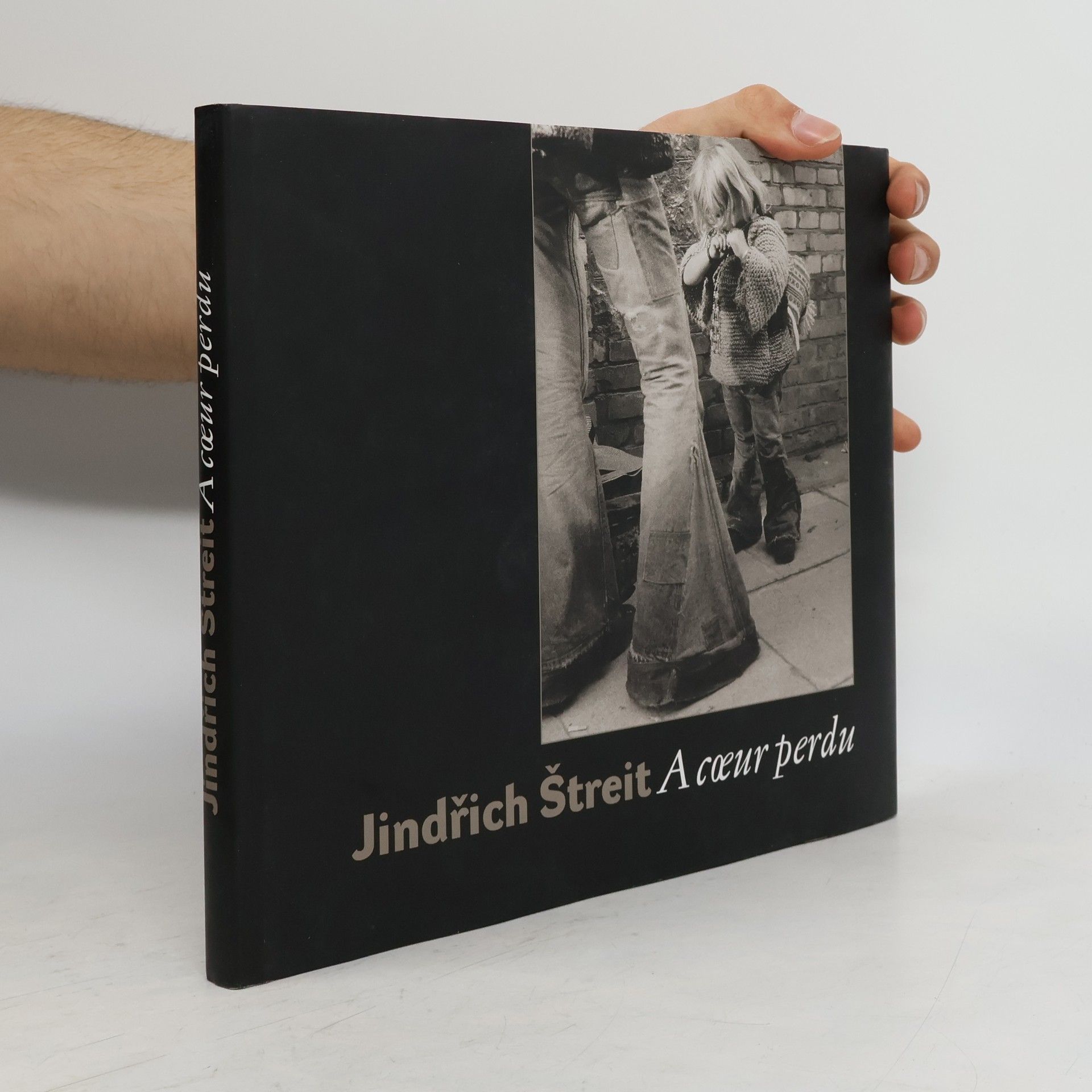 Jindřich Štreit A coeur perdu = Touches of heart = Doteky srdce