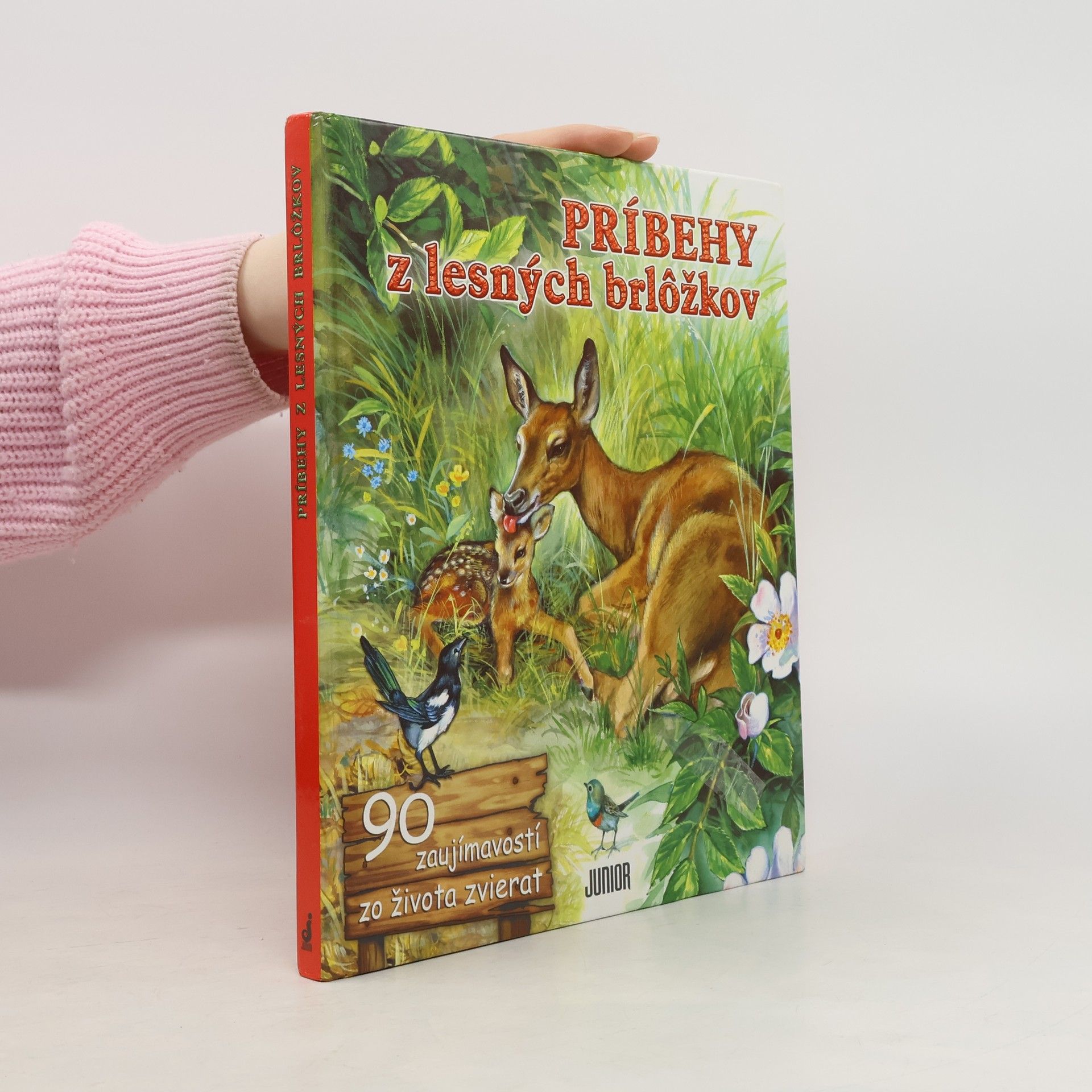 Collectif d'auteurs Príbehy z lesných brložkov