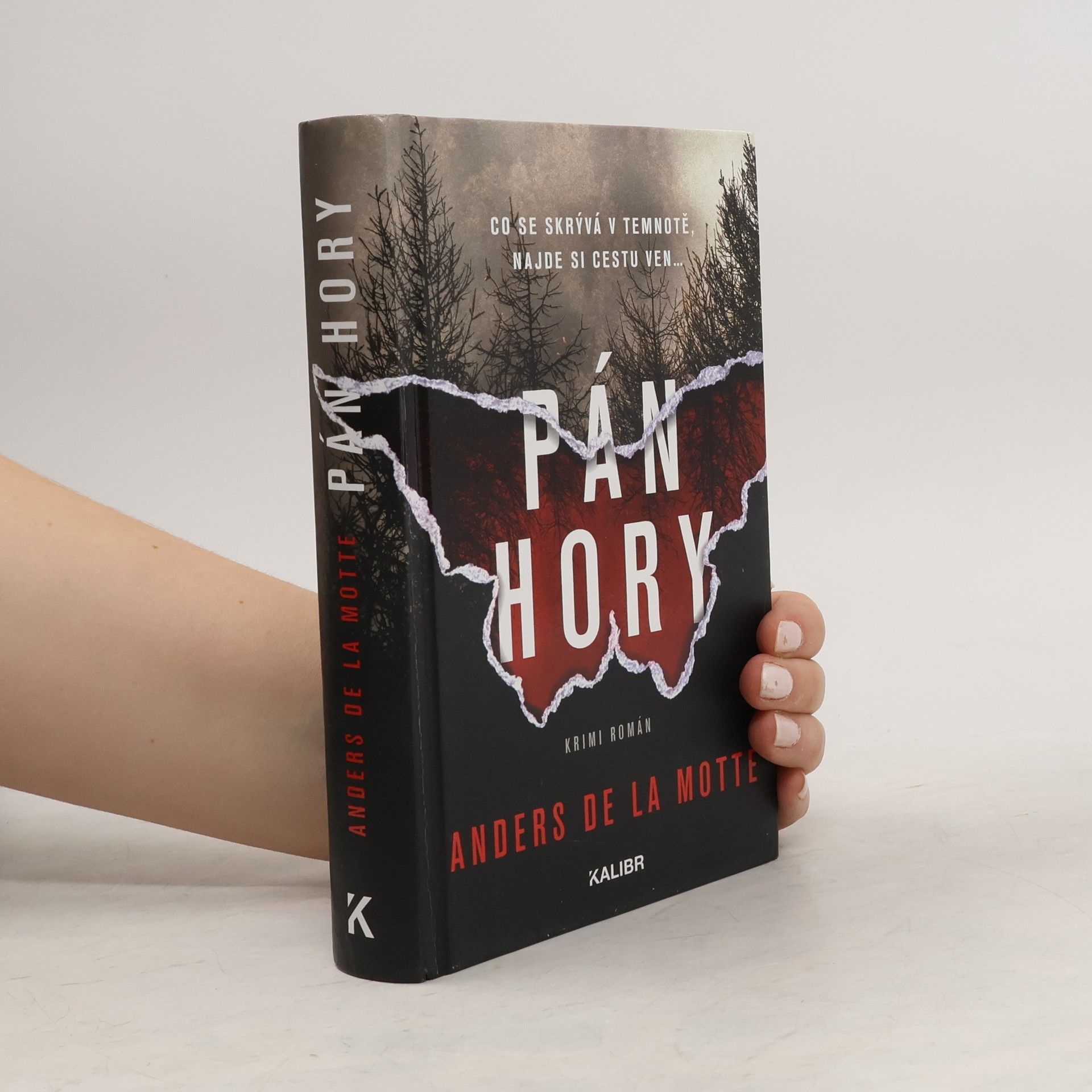 Anders De la Motte Pán hory