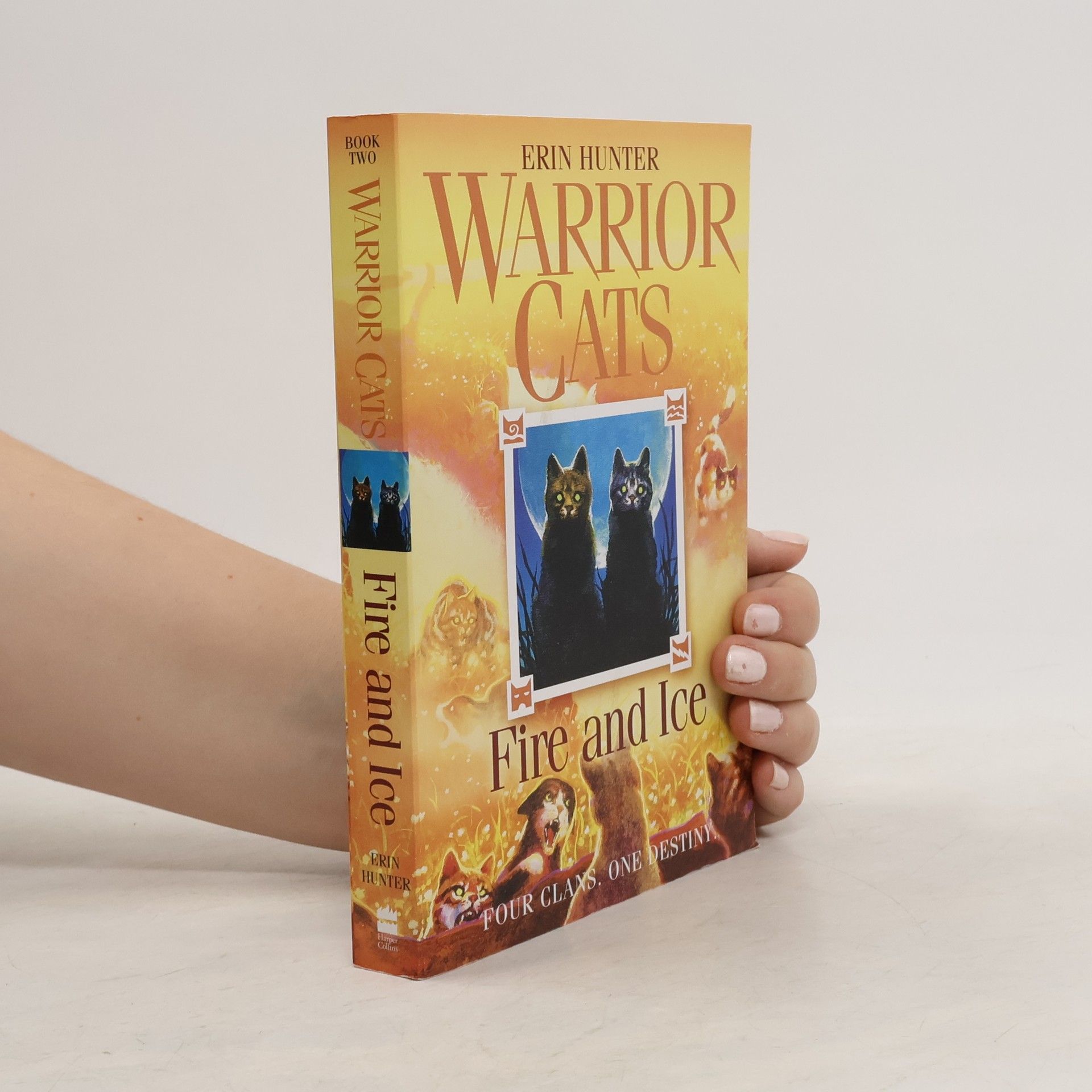 Erin Hunter Fire and Ice