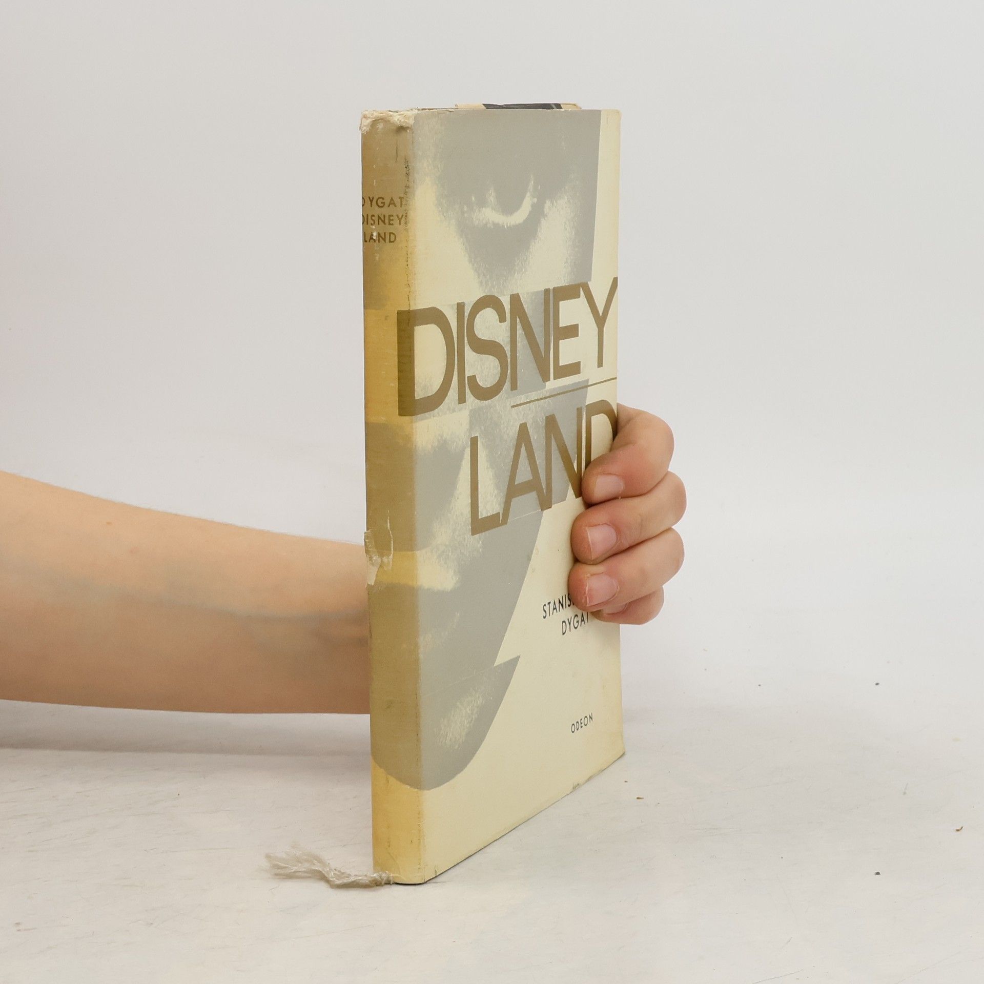 Stanisław Dygat Disneyland