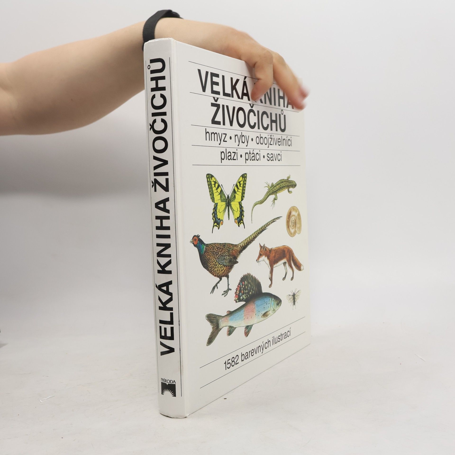 Various authors Velká kniha živočichů. Hmyz, ryby, obojživelníci, plazi, ptáci, savci