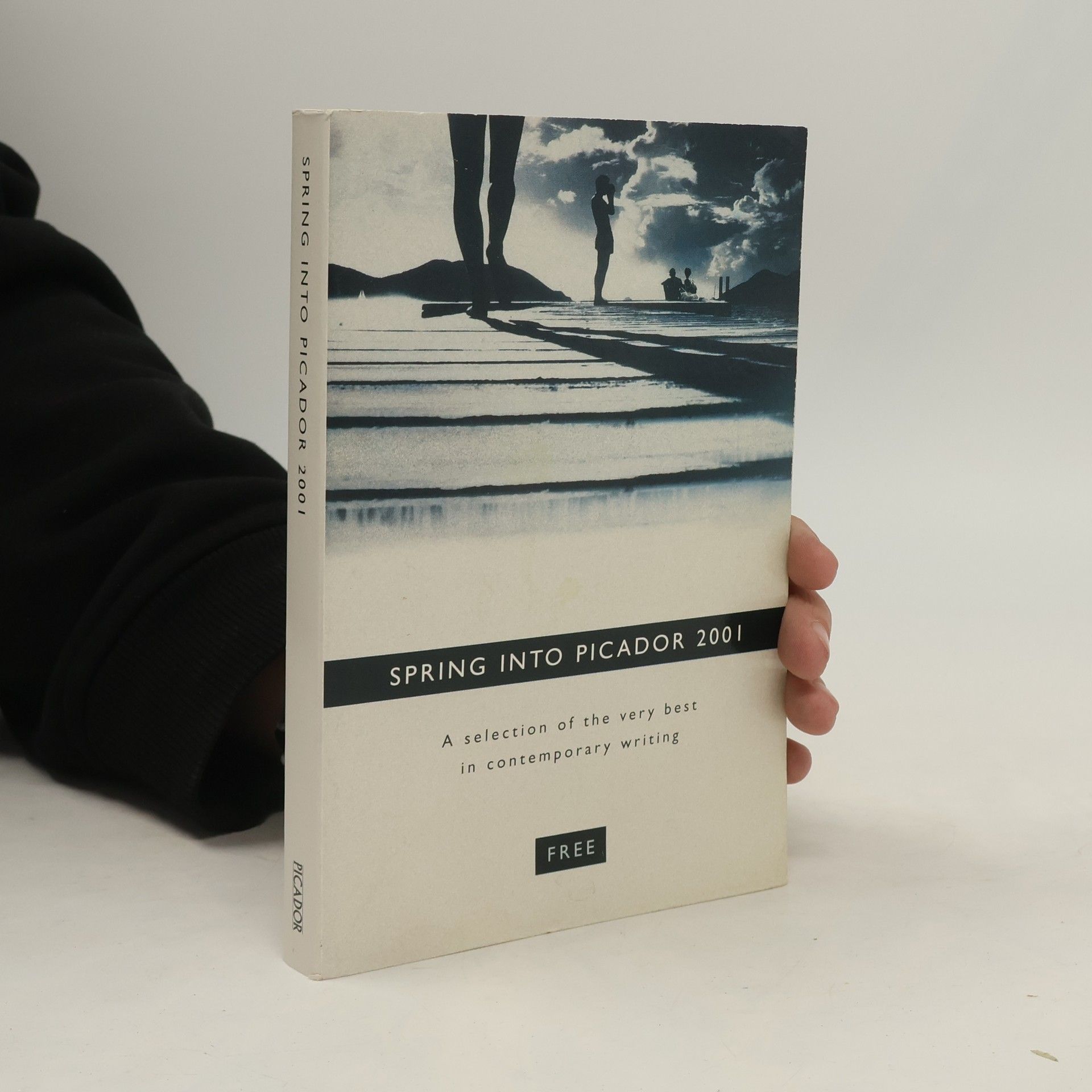 Autorenkollektiv Spring Into Picador 2001