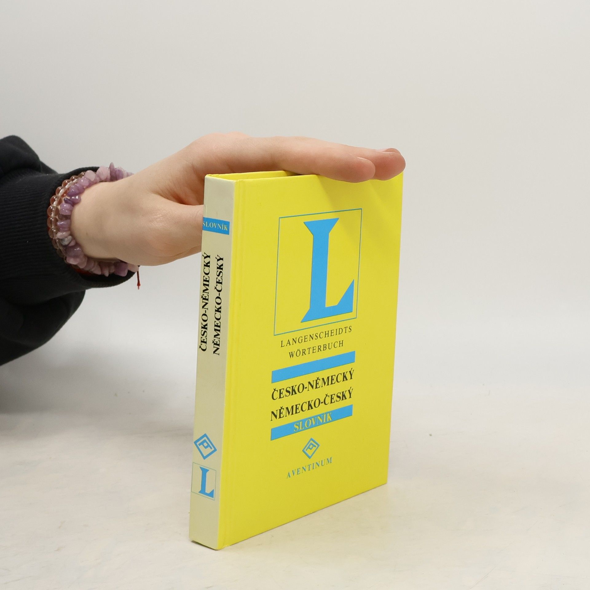 Ivana von den Driesch Česko-německý, německo-český slovník