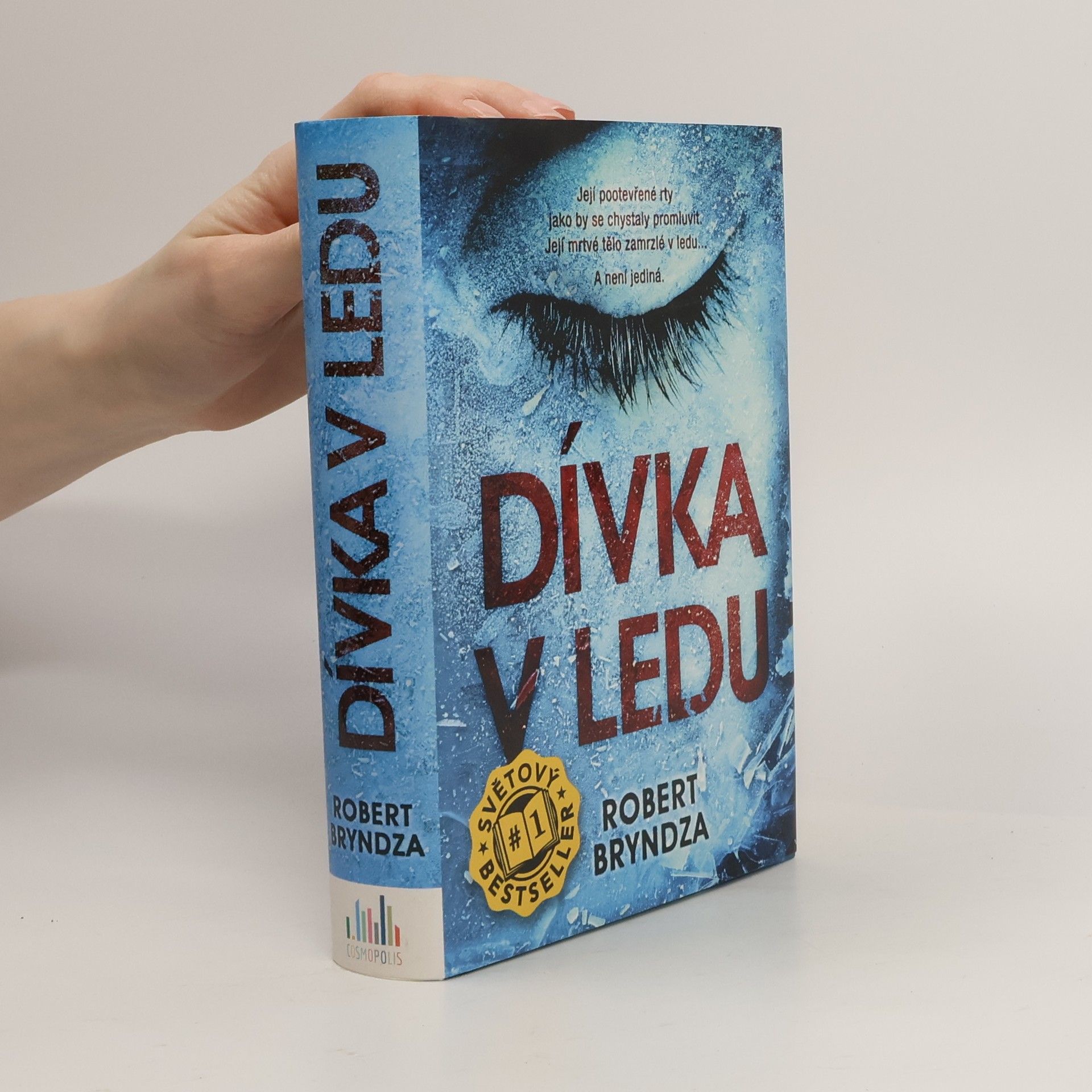 Robert Bryndza Dívka v ledu