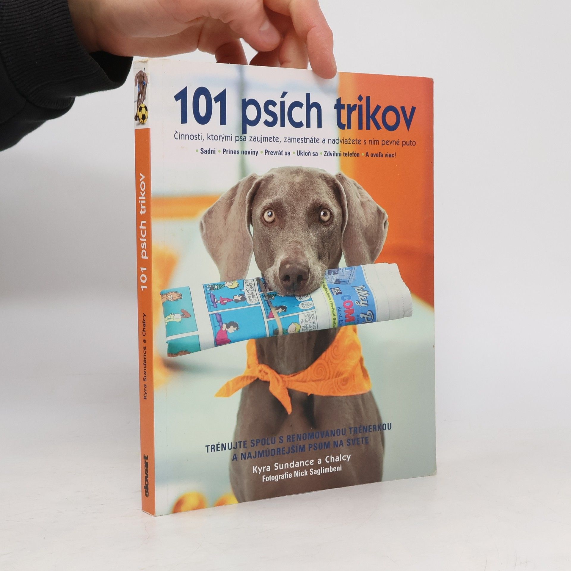 Kyra Sundance 101 psích trikov