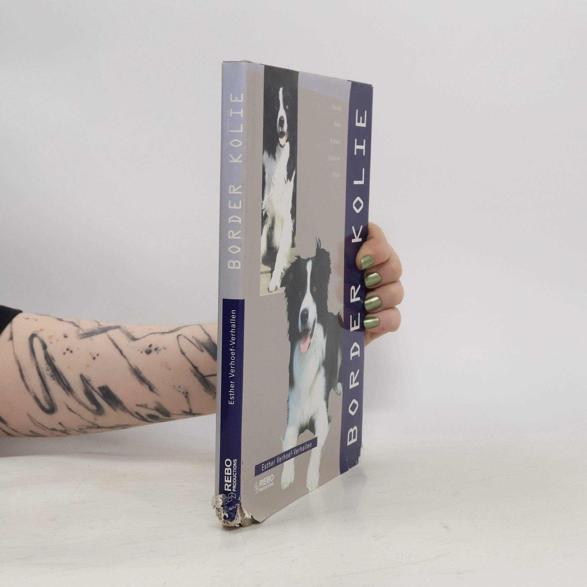 Berry Verhoef Border kolie