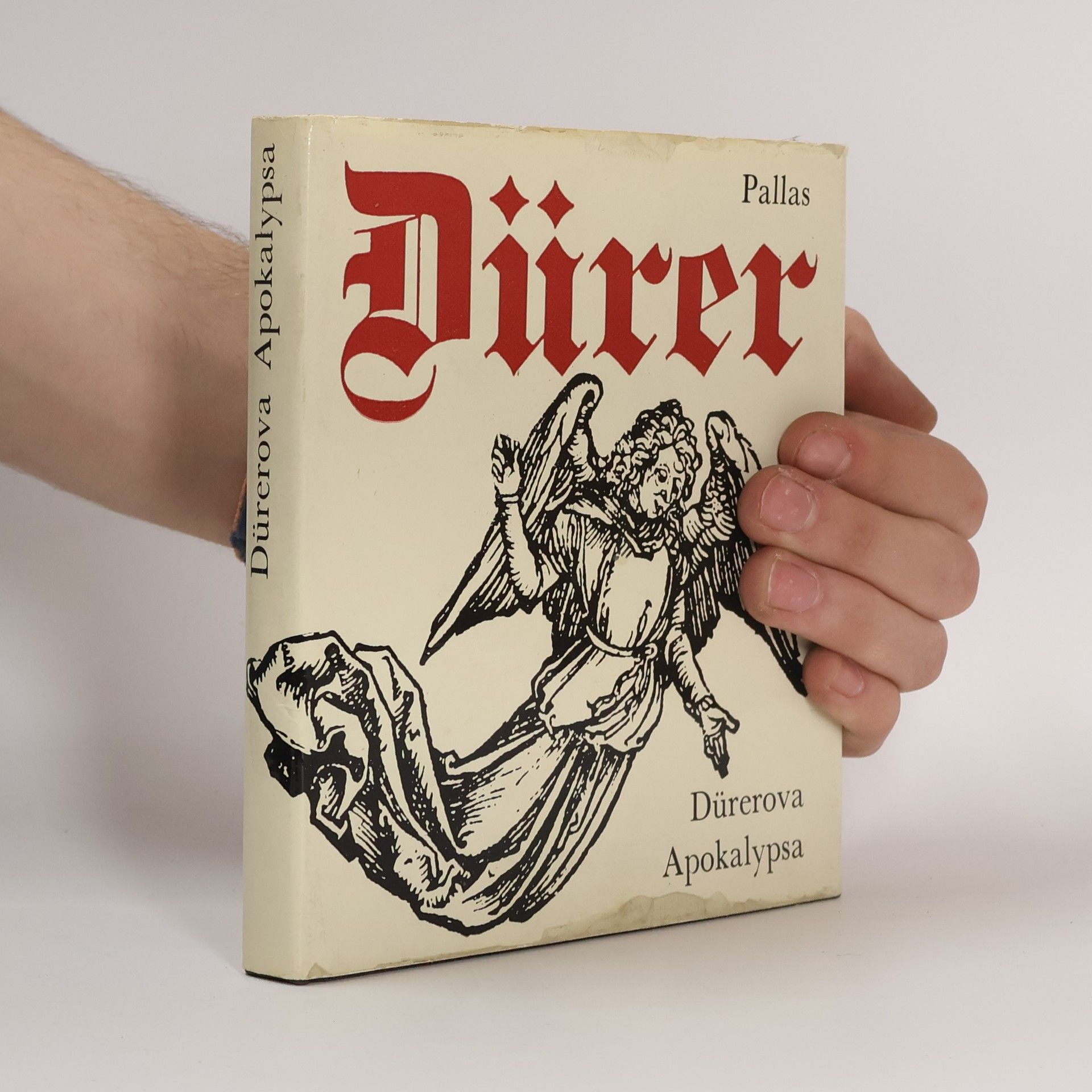 Radislav Matuštík Dürerova Apokalypsa