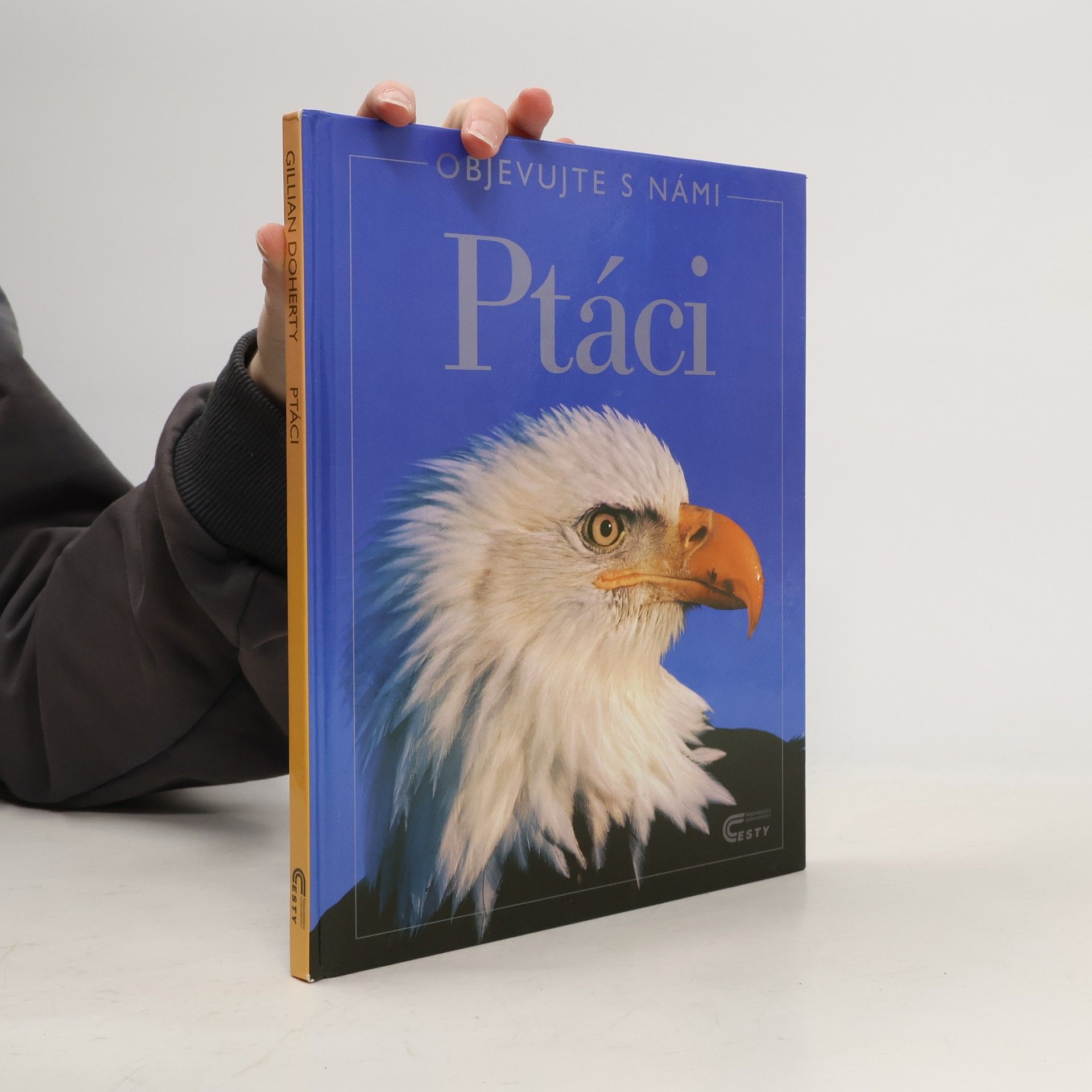 Gillian Doherty Ptáci