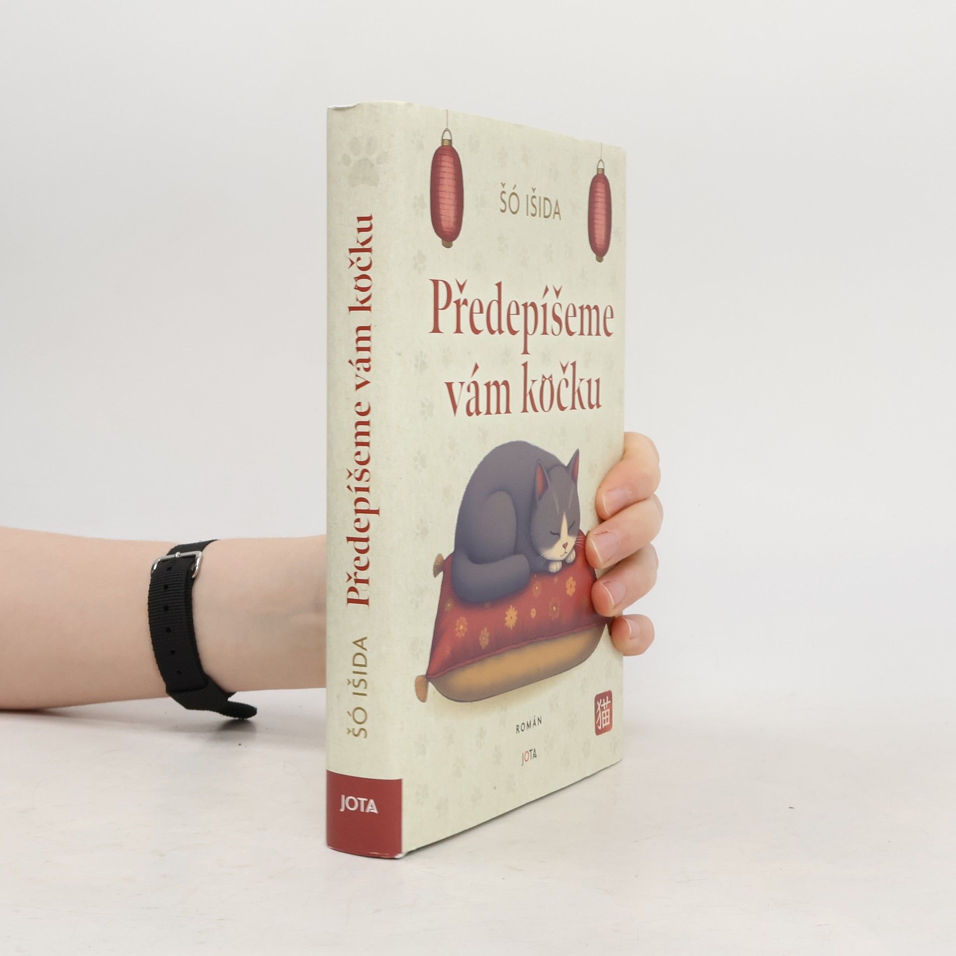 Syou Ishida Předepíšeme vám kočku