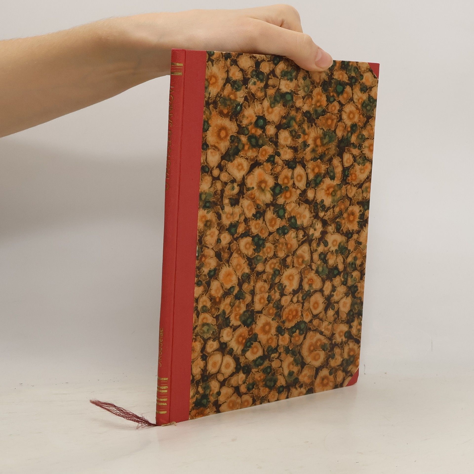 O pacholku Jankovi a krásné Magdalence. O zlaté meruňce