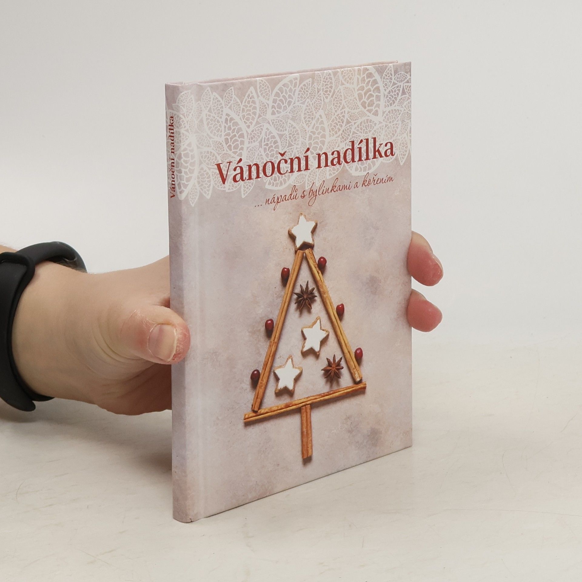 Dagmar Pinkasová Vánoční nadílka...nápadů s bylinkami a kořením