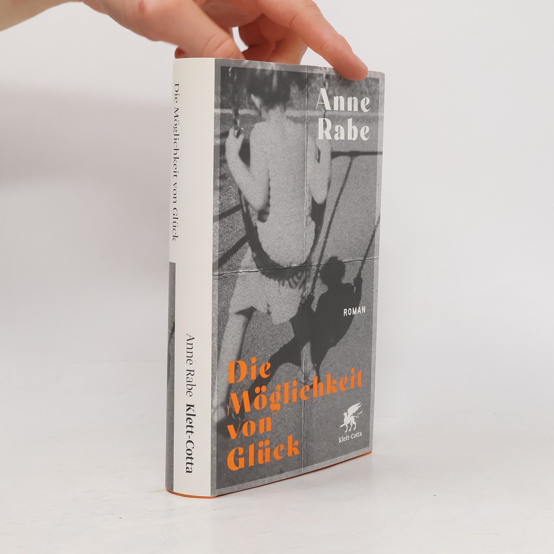 Anne Rabe Die Möglichkeit von Glück