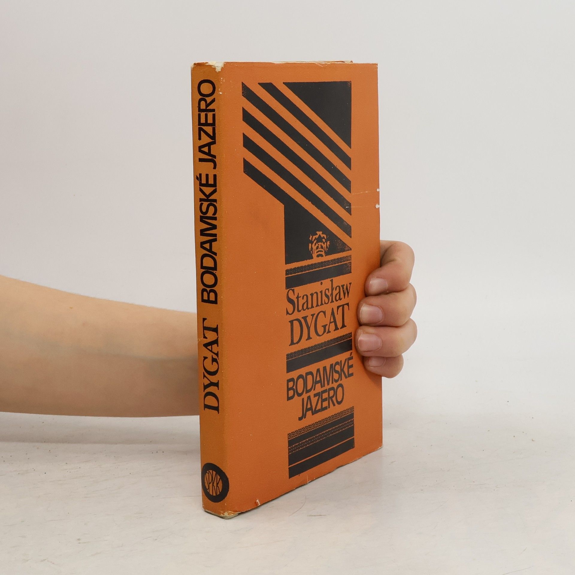 Stanisław Dygat Bodamské jazero